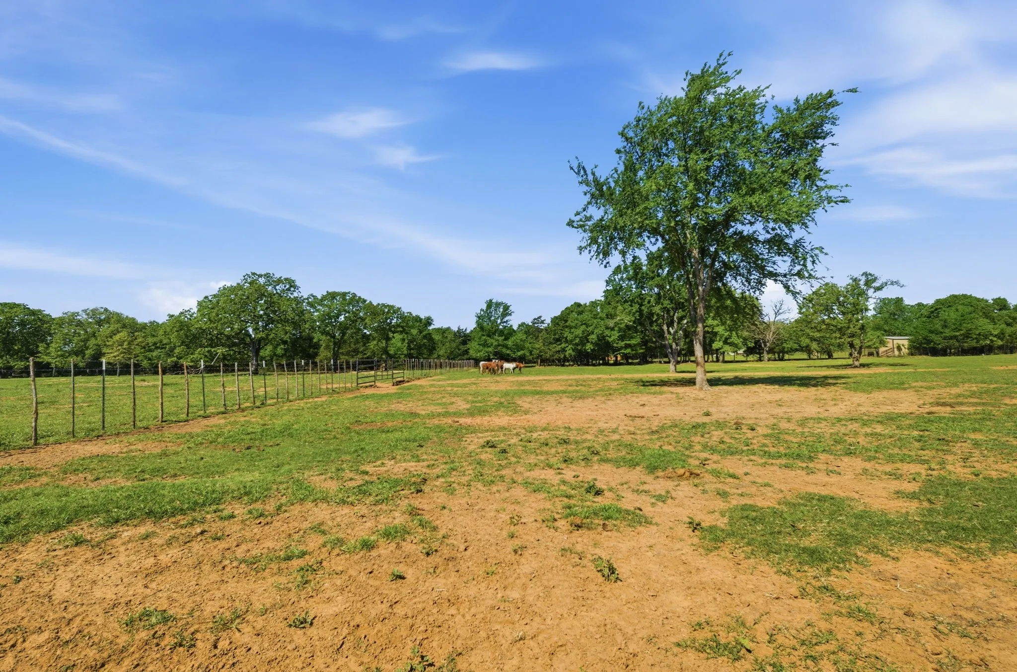 Single Family Residence For Sale in Cooke County , 10642 Fm 902, Collinsville, Texas 76233, 2 Bedrooms, 1 Bathroom, Garage spaces, 772 Sqft, built in 1950, Preowned, Price $1,000,000, mls#21231611, Real Estate Agent in Collinsville, Homes For Sale in Cooke county, Homes For Sale in Collinsville, Realtor in Collinsville Texas, Real Estate Brokerage Independent Realty Texas, Luminita Cordes Realtor