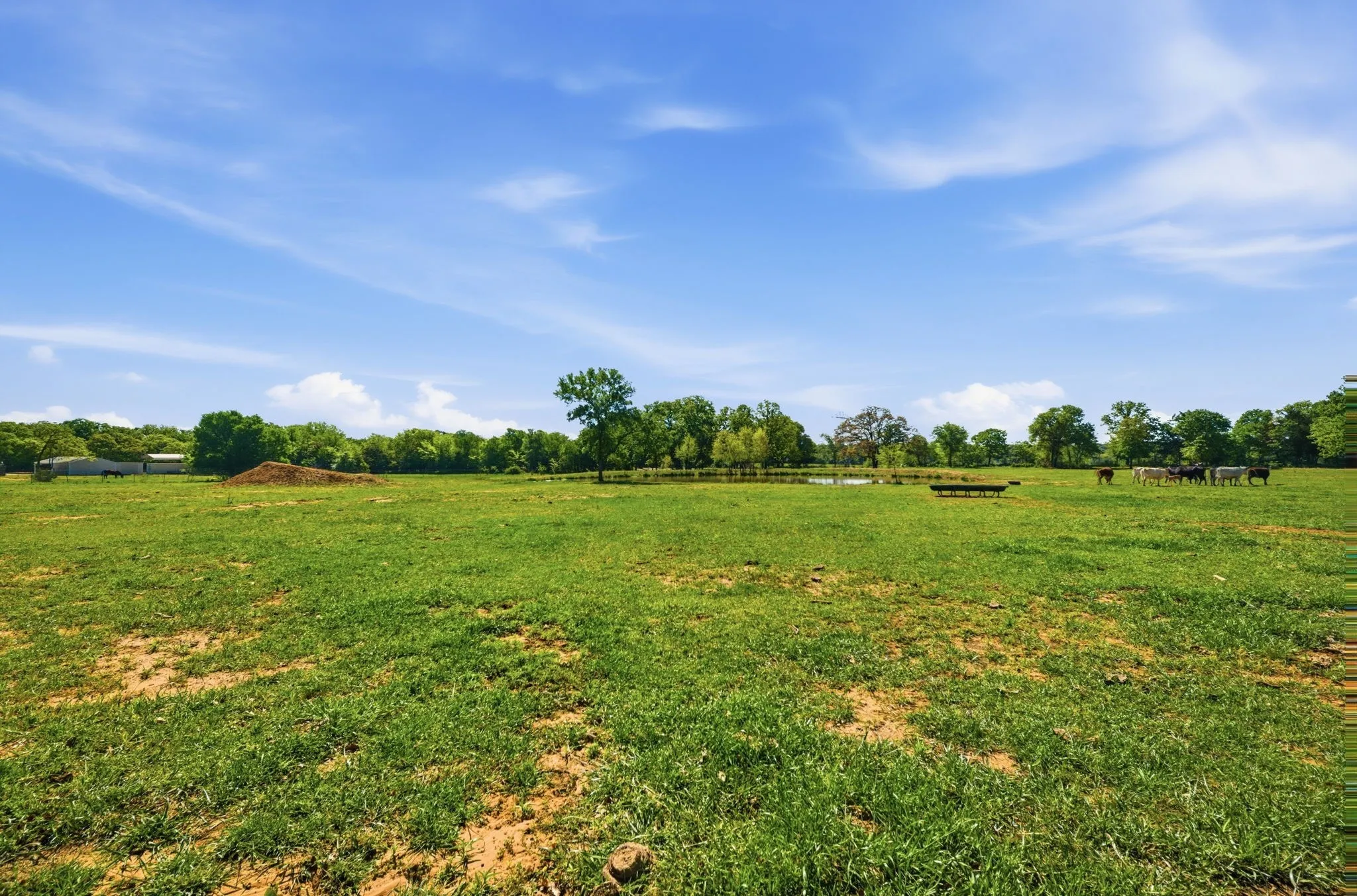 Single Family Residence For Sale in Cooke County , 10642 Fm 902, Collinsville, Texas 76233, 2 Bedrooms, 1 Bathroom, Garage spaces, 772 Sqft, built in 1950, Preowned, Price $1,000,000, mls#21231611, Real Estate Agent in Collinsville, Homes For Sale in Cooke county, Homes For Sale in Collinsville, Realtor in Collinsville Texas, Real Estate Brokerage Independent Realty Texas, Luminita Cordes Realtor