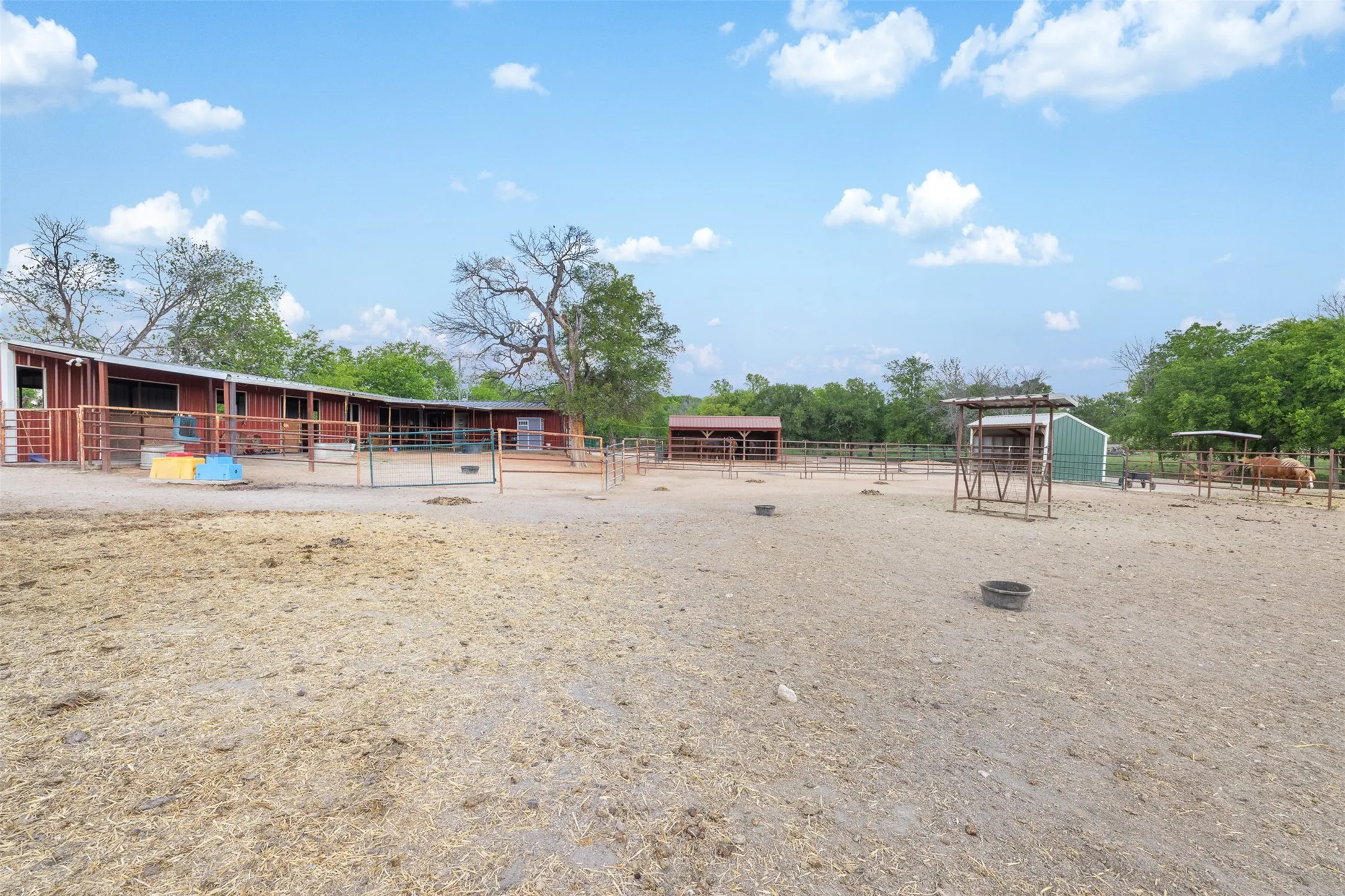 Farm For Sale in Mc Lennan County , 203 Saffle Road, Robinson, Texas 76706, 3 Bedrooms, 2 Bathrooms, Garage spaces, 1,680 Sqft, built in 2001, Preowned, Price $514,900, mls#21234425, Real Estate Agent in Robinson, Homes For Sale in Mc Lennan county, Homes For Sale in Robinson, Realtor in Robinson Texas, Real Estate Brokerage Independent Realty Texas, Luminita Cordes Realtor