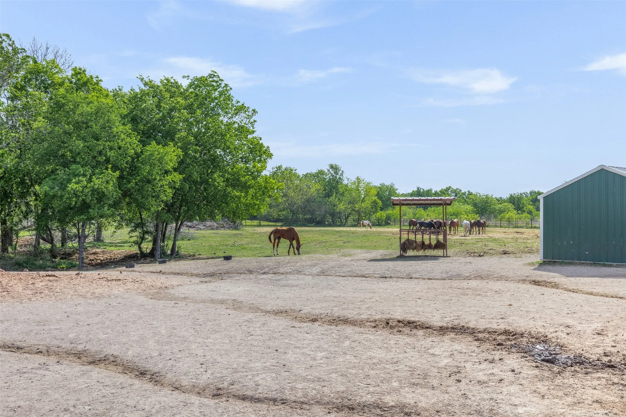 Farm For Sale in Mc Lennan County , 203 Saffle Road, Robinson, Texas 76706, 3 Bedrooms, 2 Bathrooms, Garage spaces, 1,680 Sqft, built in 2001, Preowned, Price $514,900, mls#21234425, Real Estate Agent in Robinson, Homes For Sale in Mc Lennan county, Homes For Sale in Robinson, Realtor in Robinson Texas, Real Estate Brokerage Independent Realty Texas, Luminita Cordes Realtor