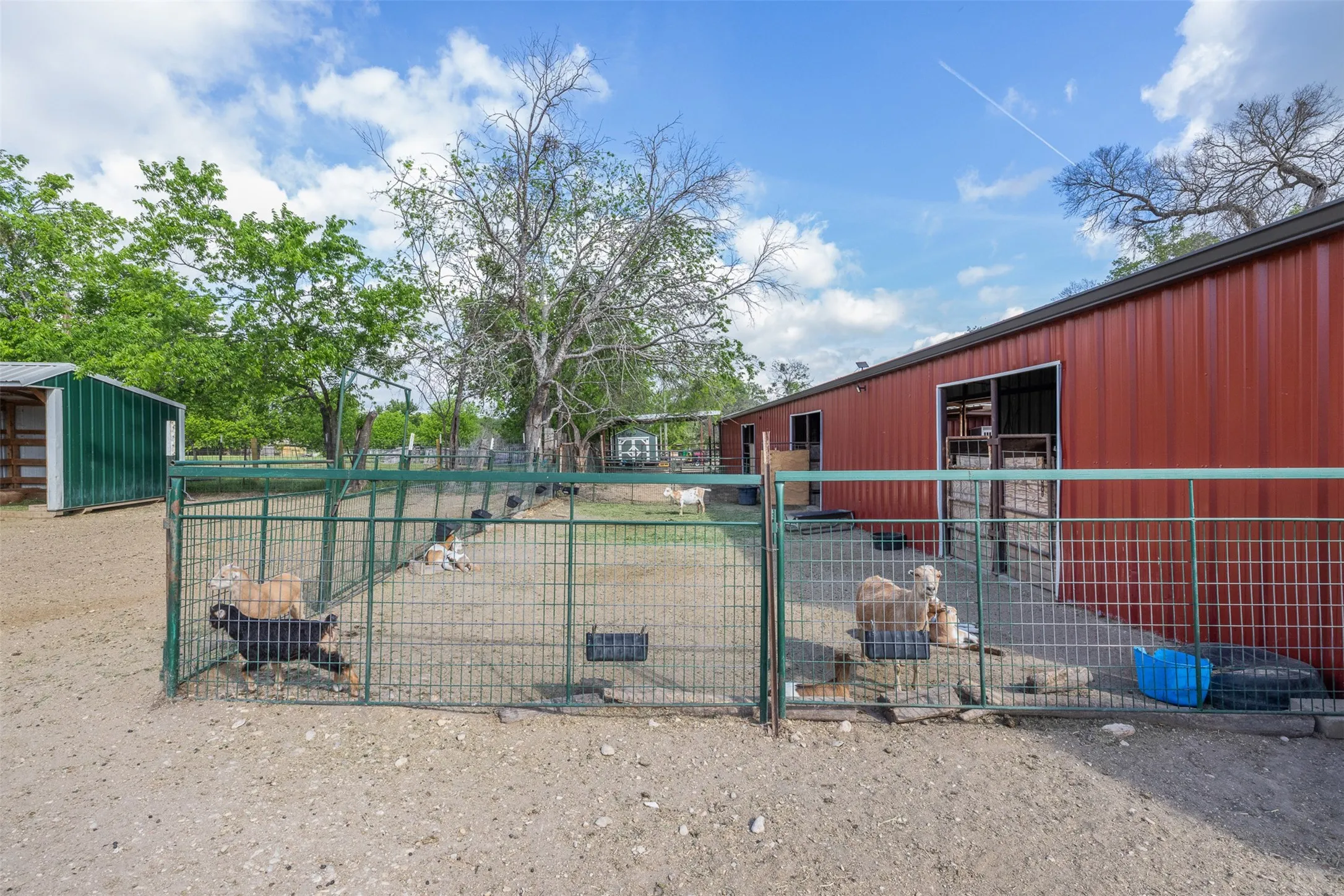 Farm For Sale in Mc Lennan County , 203 Saffle Road, Robinson, Texas 76706, 3 Bedrooms, 2 Bathrooms, Garage spaces, 1,680 Sqft, built in 2001, Preowned, Price $514,900, mls#21234425, Real Estate Agent in Robinson, Homes For Sale in Mc Lennan county, Homes For Sale in Robinson, Realtor in Robinson Texas, Real Estate Brokerage Independent Realty Texas, Luminita Cordes Realtor