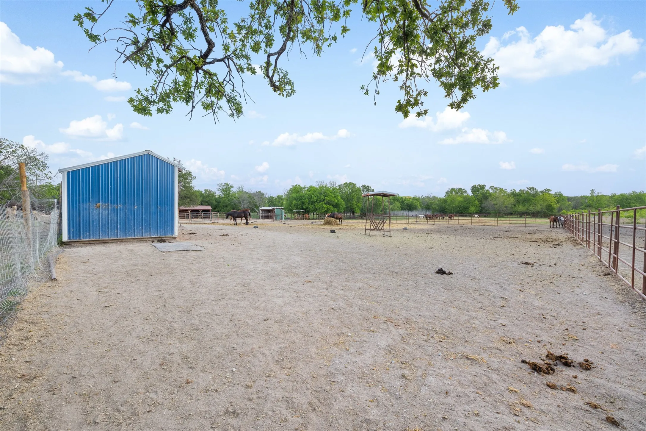 Farm For Sale in Mc Lennan County , 203 Saffle Road, Robinson, Texas 76706, 3 Bedrooms, 2 Bathrooms, Garage spaces, 1,680 Sqft, built in 2001, Preowned, Price $514,900, mls#21234425, Real Estate Agent in Robinson, Homes For Sale in Mc Lennan county, Homes For Sale in Robinson, Realtor in Robinson Texas, Real Estate Brokerage Independent Realty Texas, Luminita Cordes Realtor