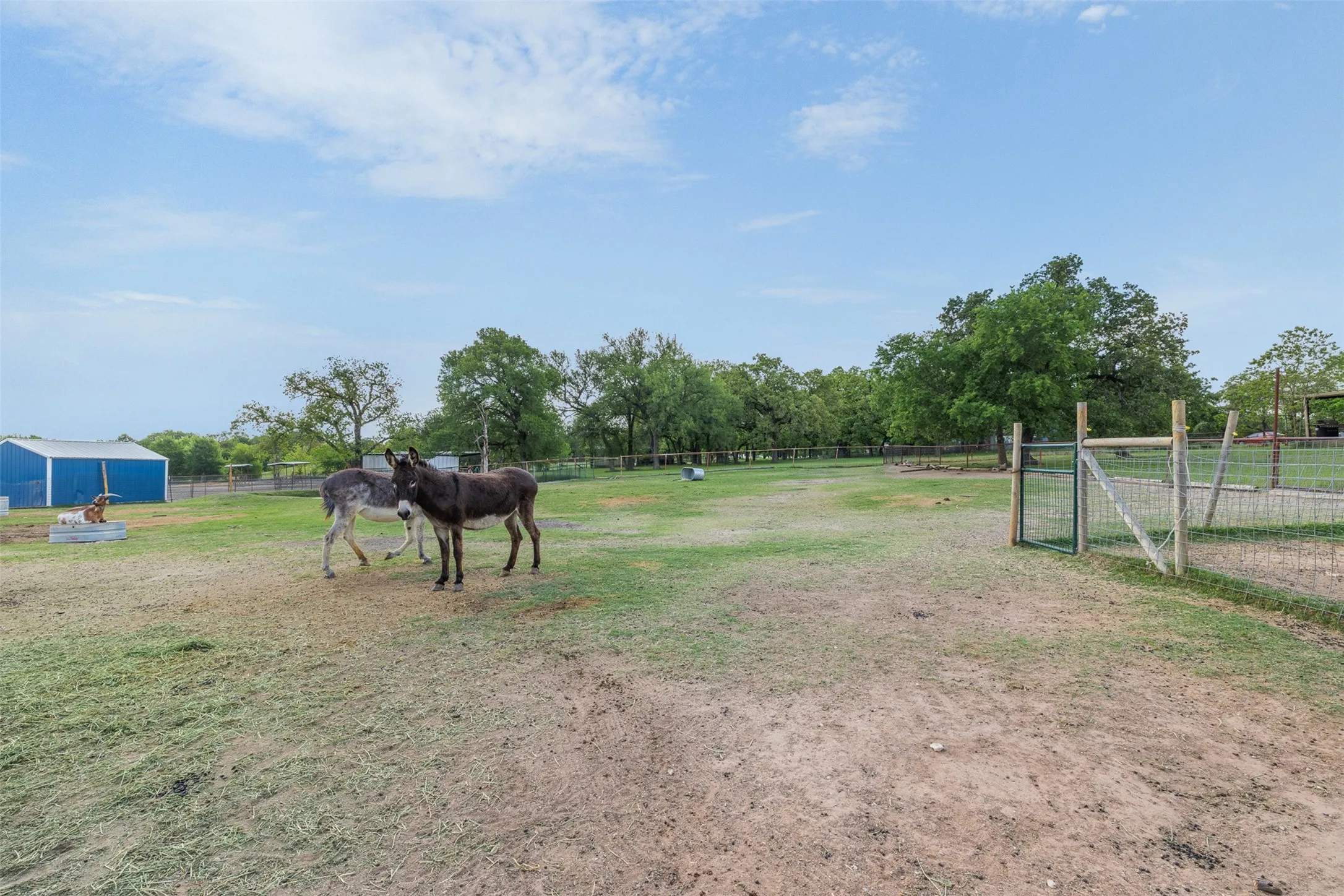 Farm For Sale in Mc Lennan County , 203 Saffle Road, Robinson, Texas 76706, 3 Bedrooms, 2 Bathrooms, Garage spaces, 1,680 Sqft, built in 2001, Preowned, Price $514,900, mls#21234425, Real Estate Agent in Robinson, Homes For Sale in Mc Lennan county, Homes For Sale in Robinson, Realtor in Robinson Texas, Real Estate Brokerage Independent Realty Texas, Luminita Cordes Realtor