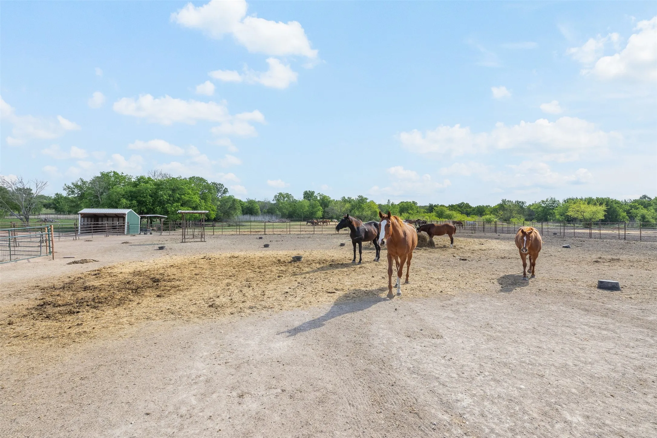 Farm For Sale in Mc Lennan County , 203 Saffle Road, Robinson, Texas 76706, 3 Bedrooms, 2 Bathrooms, Garage spaces, 1,680 Sqft, built in 2001, Preowned, Price $514,900, mls#21234425, Real Estate Agent in Robinson, Homes For Sale in Mc Lennan county, Homes For Sale in Robinson, Realtor in Robinson Texas, Real Estate Brokerage Independent Realty Texas, Luminita Cordes Realtor