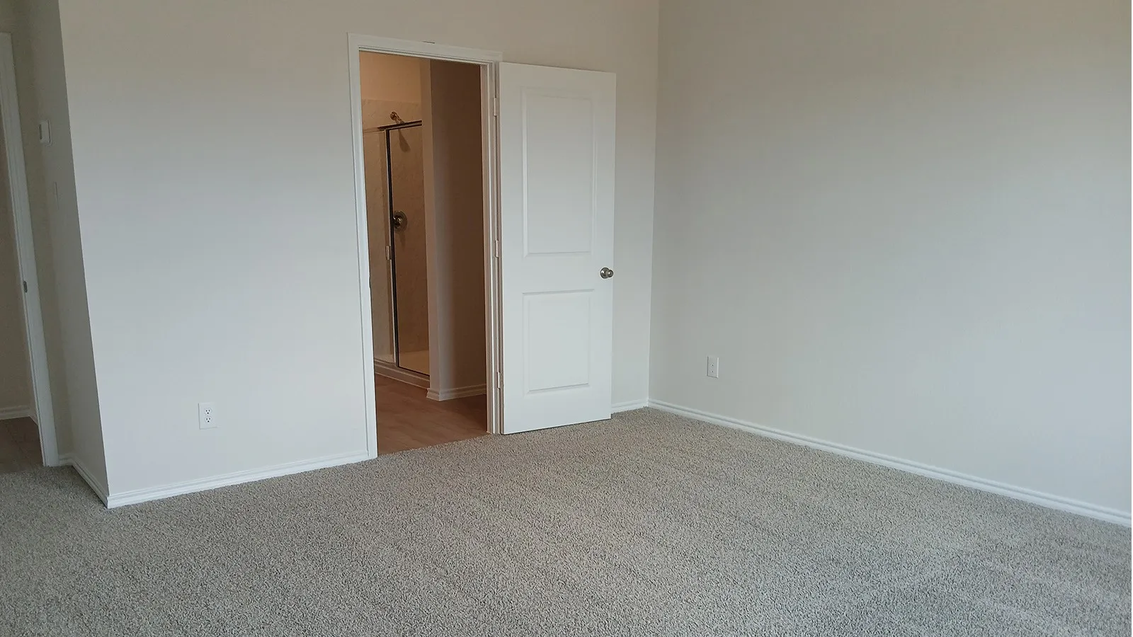 Carpeted room with white painted walls and trim, featuring a white paneled door