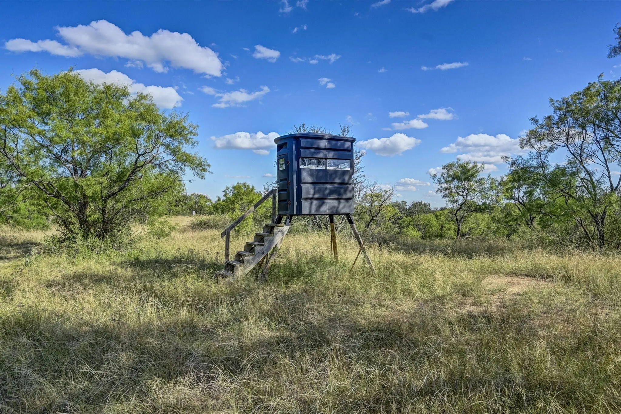 Deer Blind
