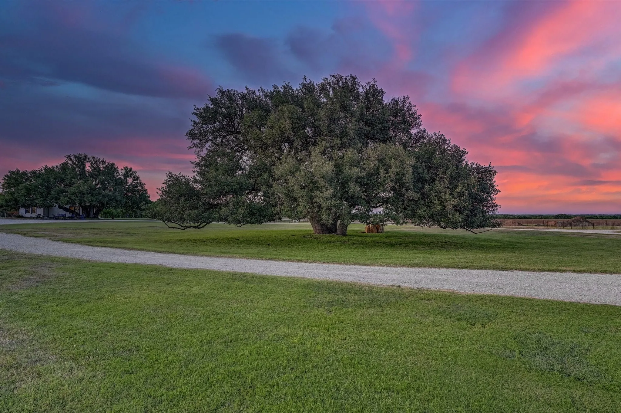 Heritage oaks throughout the property