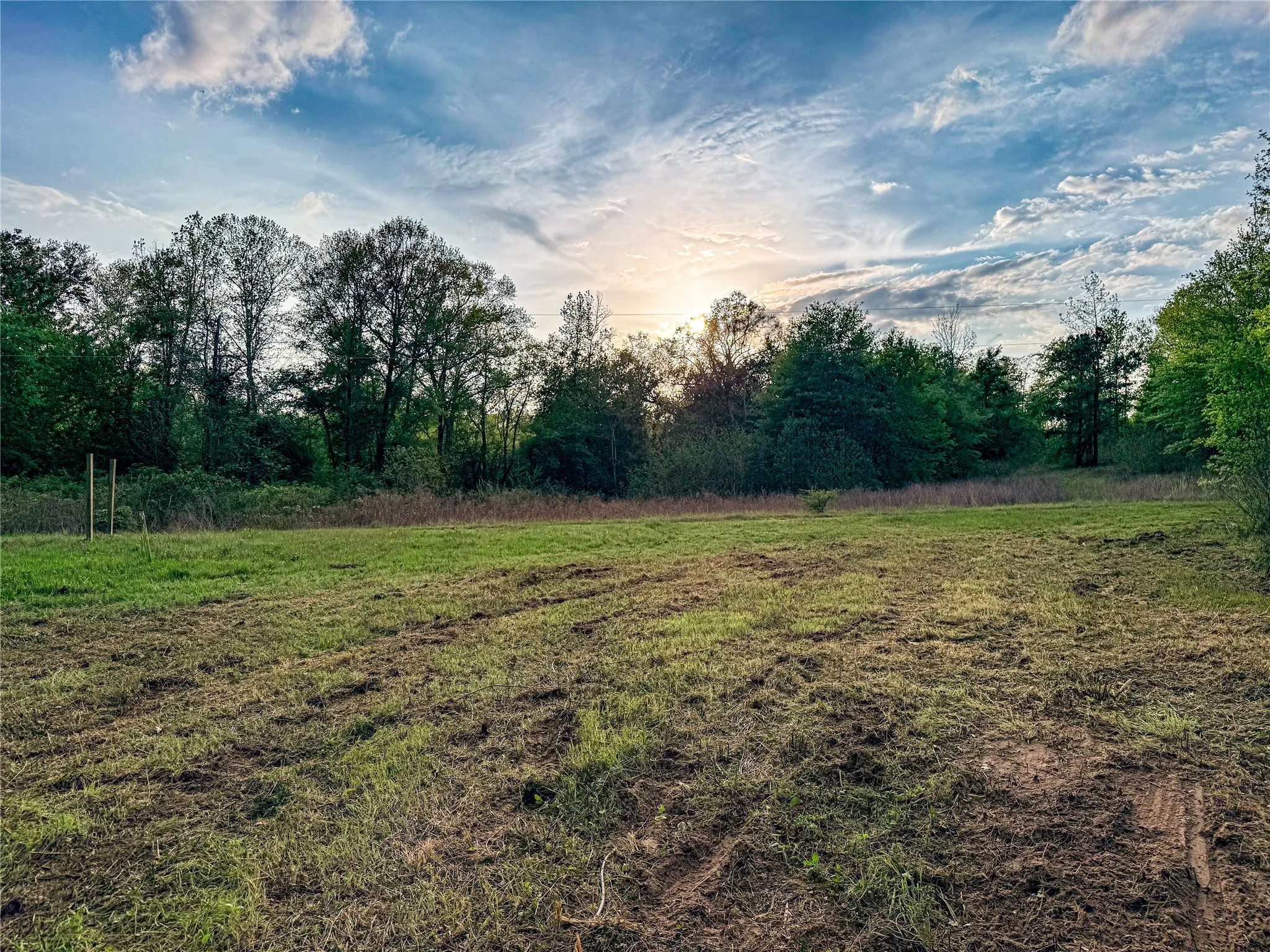 View of yard at dusk