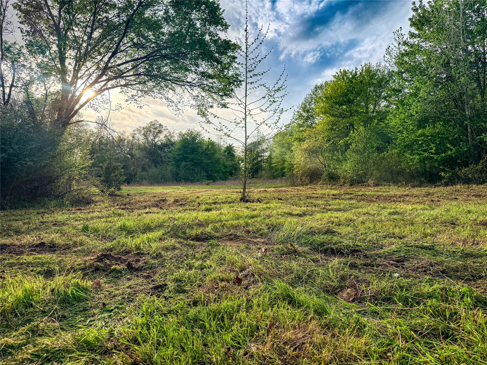 View of undeveloped land