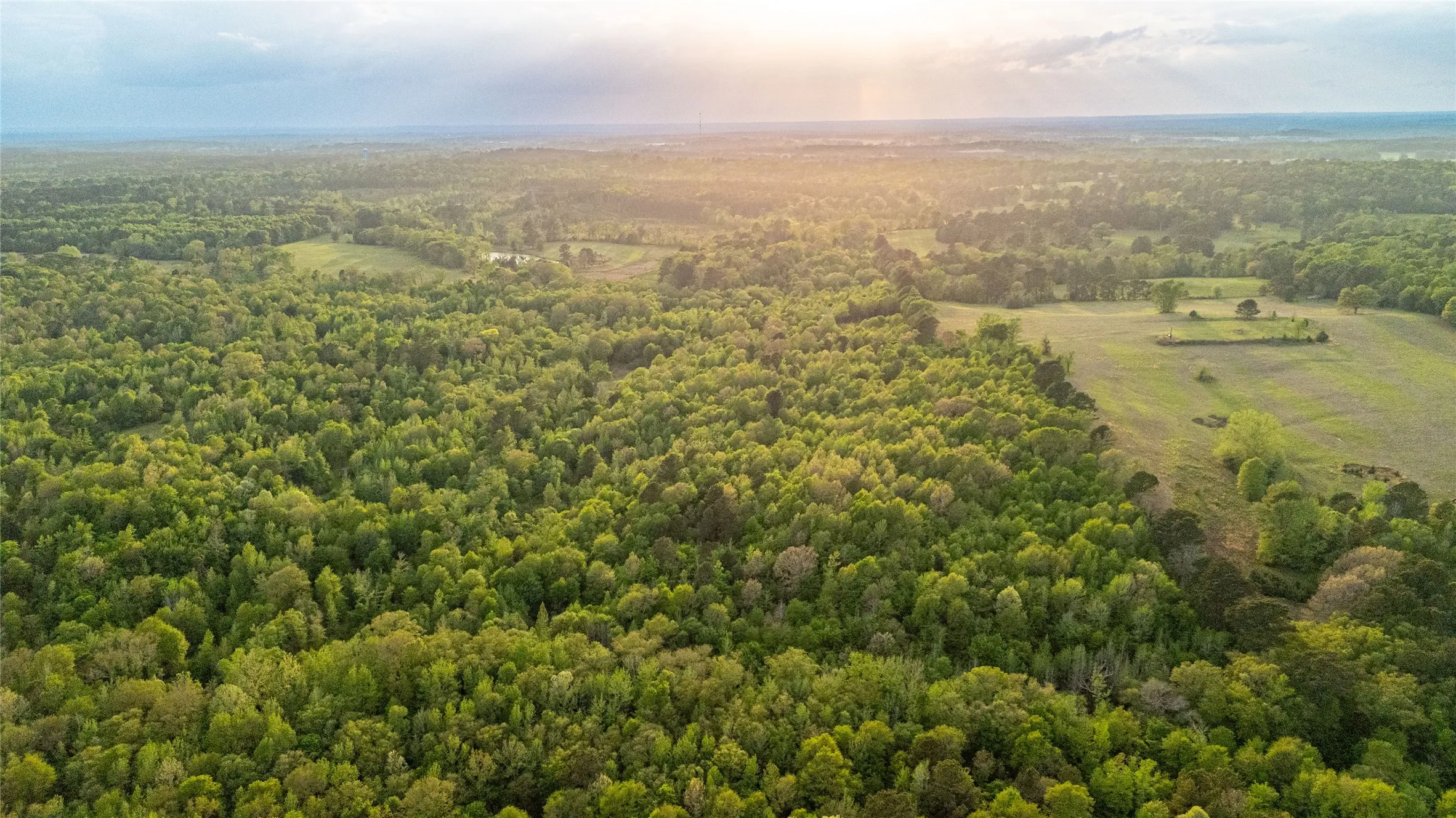 Aerial view of a heavily wooded area