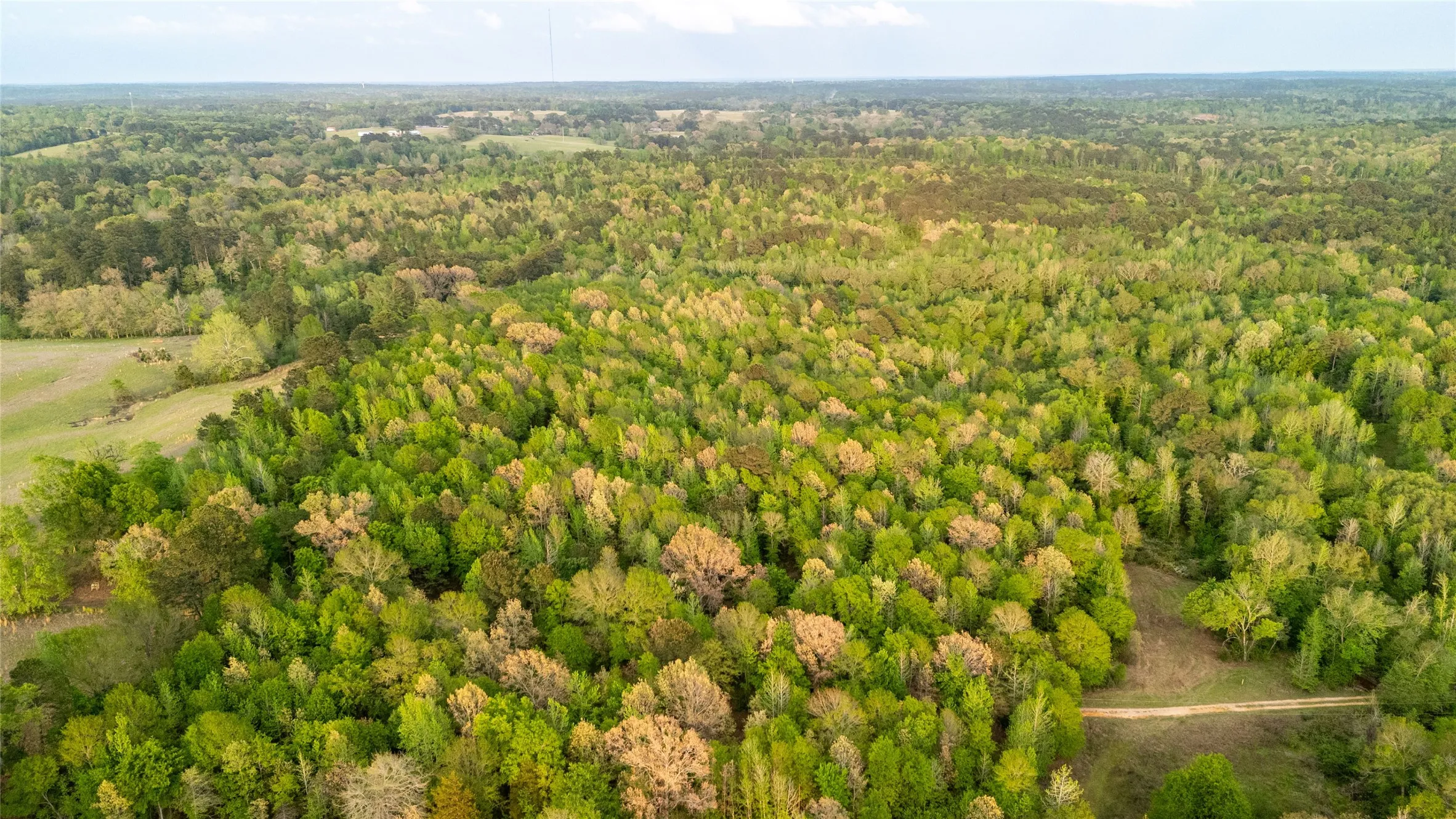 Drone / aerial view of a heavily wooded area