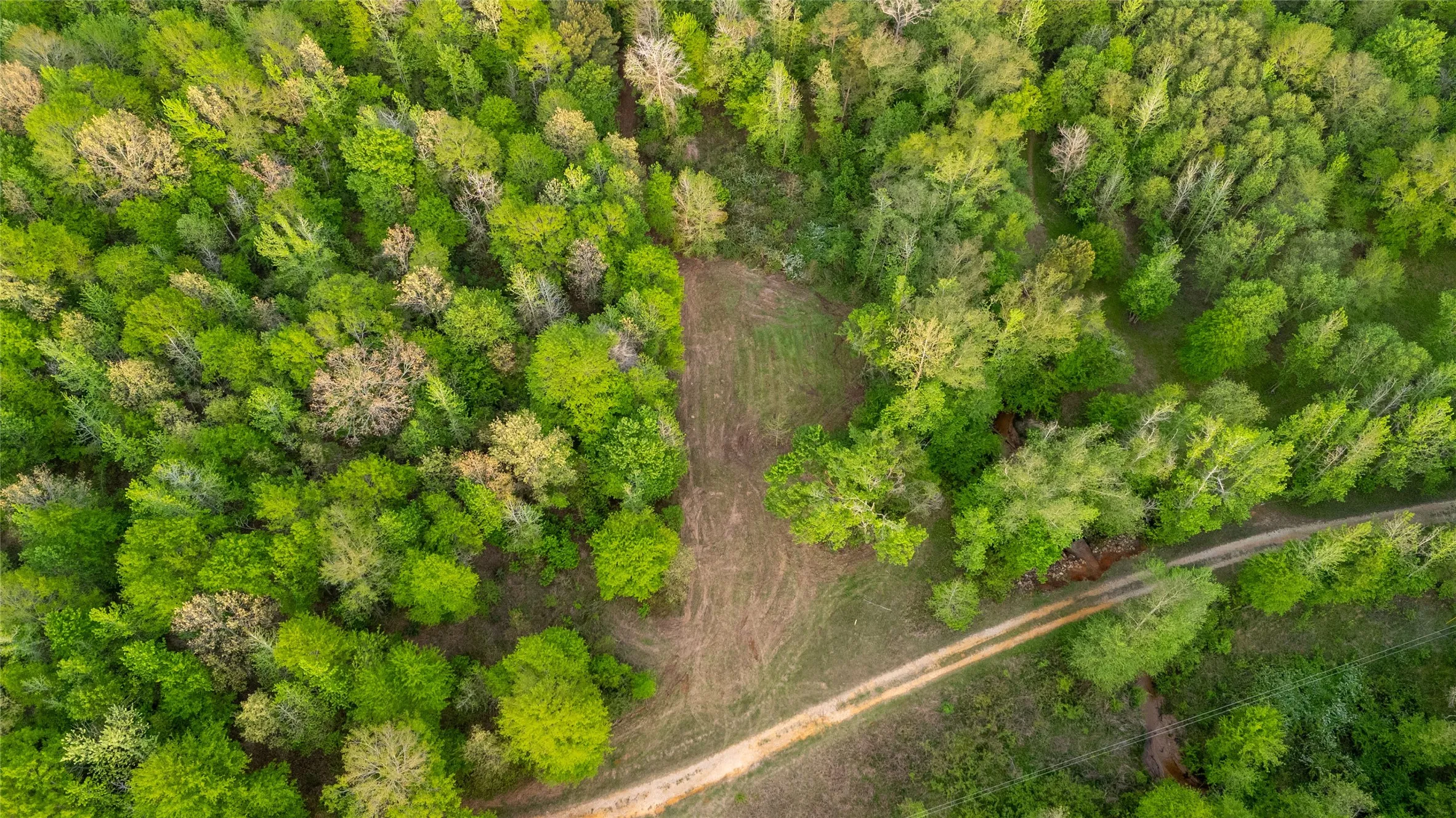 Bird's eye view of a heavily wooded area