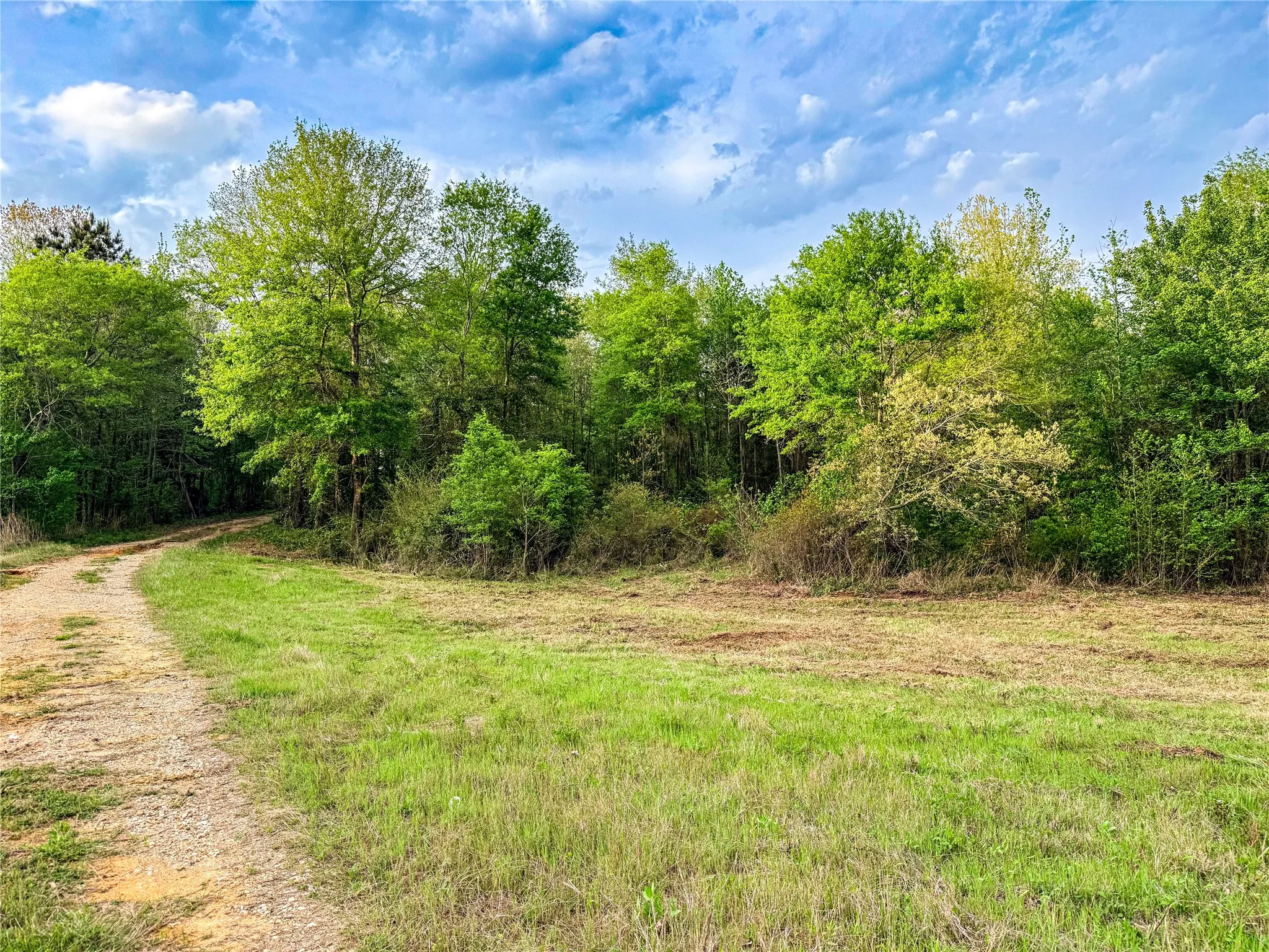 Unimproved Land For Sale in Smith County , 000 FM 838, Overton, Texas 75684, 0, 0, Garage spaces, 0 Sqft, built in 0, mls#21235300, Real Estate Agent in Overton, Homes For Sale in Smith county, Homes For Sale in Overton, Realtor in Overton Texas, Real Estate Brokerage Independent Realty Texas, Luminita Cordes Realtor