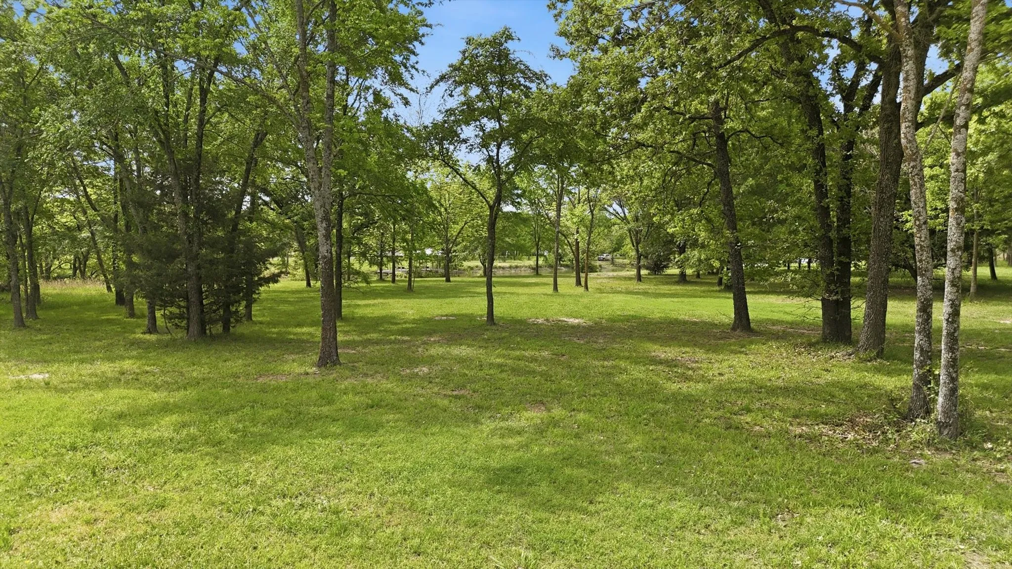 View of the lot looking out into the cove