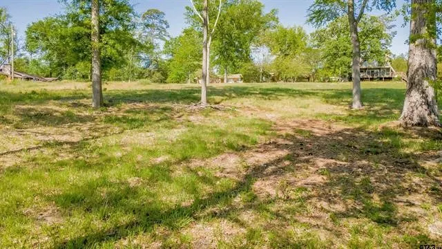 Unimproved Land For Sale in Smith County , 1217 Chateau Lane B, Lindale, Texas 75771, 0, 0, Garage spaces, 0 Sqft, built in 0, Price $143,550, mls#21235470, Real Estate Agent in Lindale, Homes For Sale in Smith county, Homes For Sale in Lindale, Realtor in Lindale Texas, Real Estate Brokerage Independent Realty Texas, Luminita Cordes Realtor
