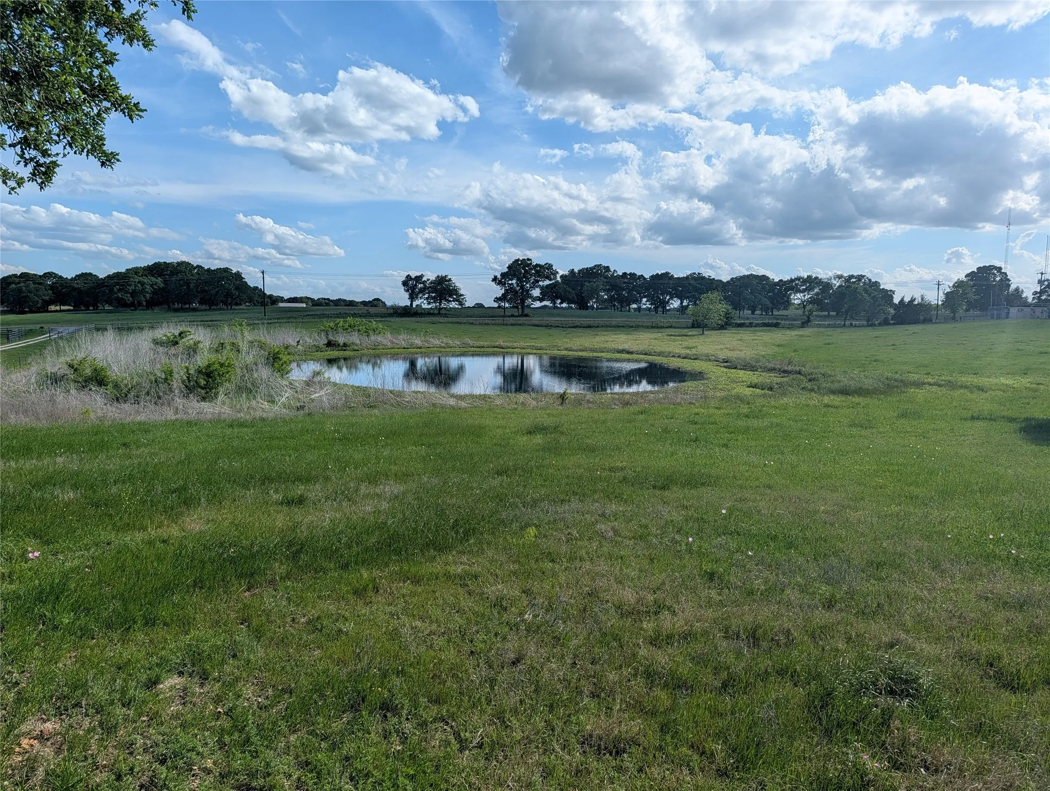 Farm For Sale in Kaufman County , 21855 S Fm 148, Kemp, Texas 75143, 3 Bedroom, 3 Bathroom, Garage spaces, 2,580 Sqft, built in 2007, mls#21235527, Real Estate Agent in Kemp, Homes For Sale in Kaufman county, Homes For Sale in Kemp, Realtor in Kemp Texas, Real Estate Brokerage Independent Realty Texas, Luminita Cordes Realtor