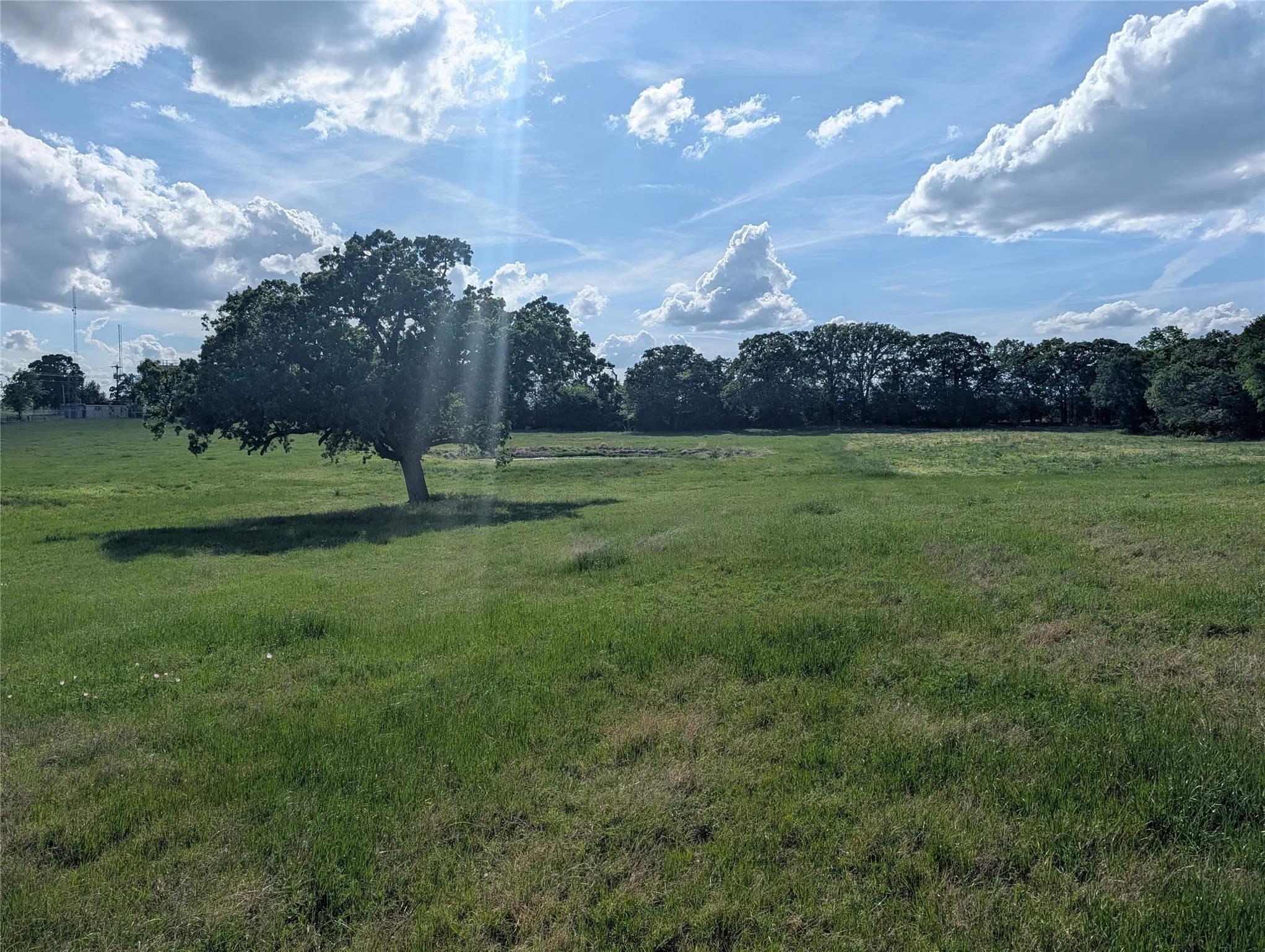 Farm For Sale in Kaufman County , 21855 S Fm 148, Kemp, Texas 75143, 3 Bedroom, 3 Bathroom, Garage spaces, 2,580 Sqft, built in 2007, mls#21235527, Real Estate Agent in Kemp, Homes For Sale in Kaufman county, Homes For Sale in Kemp, Realtor in Kemp Texas, Real Estate Brokerage Independent Realty Texas, Luminita Cordes Realtor