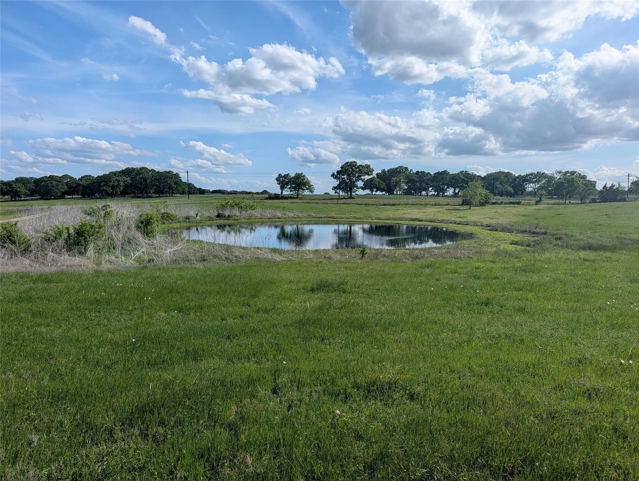 Farm For Sale in Kaufman County , 21855 S Fm 148, Kemp, Texas 75143, 3 Bedroom, 3 Bathroom, Garage spaces, 2,580 Sqft, built in 2007, mls#21235527, Real Estate Agent in Kemp, Homes For Sale in Kaufman county, Homes For Sale in Kemp, Realtor in Kemp Texas, Real Estate Brokerage Independent Realty Texas, Luminita Cordes Realtor