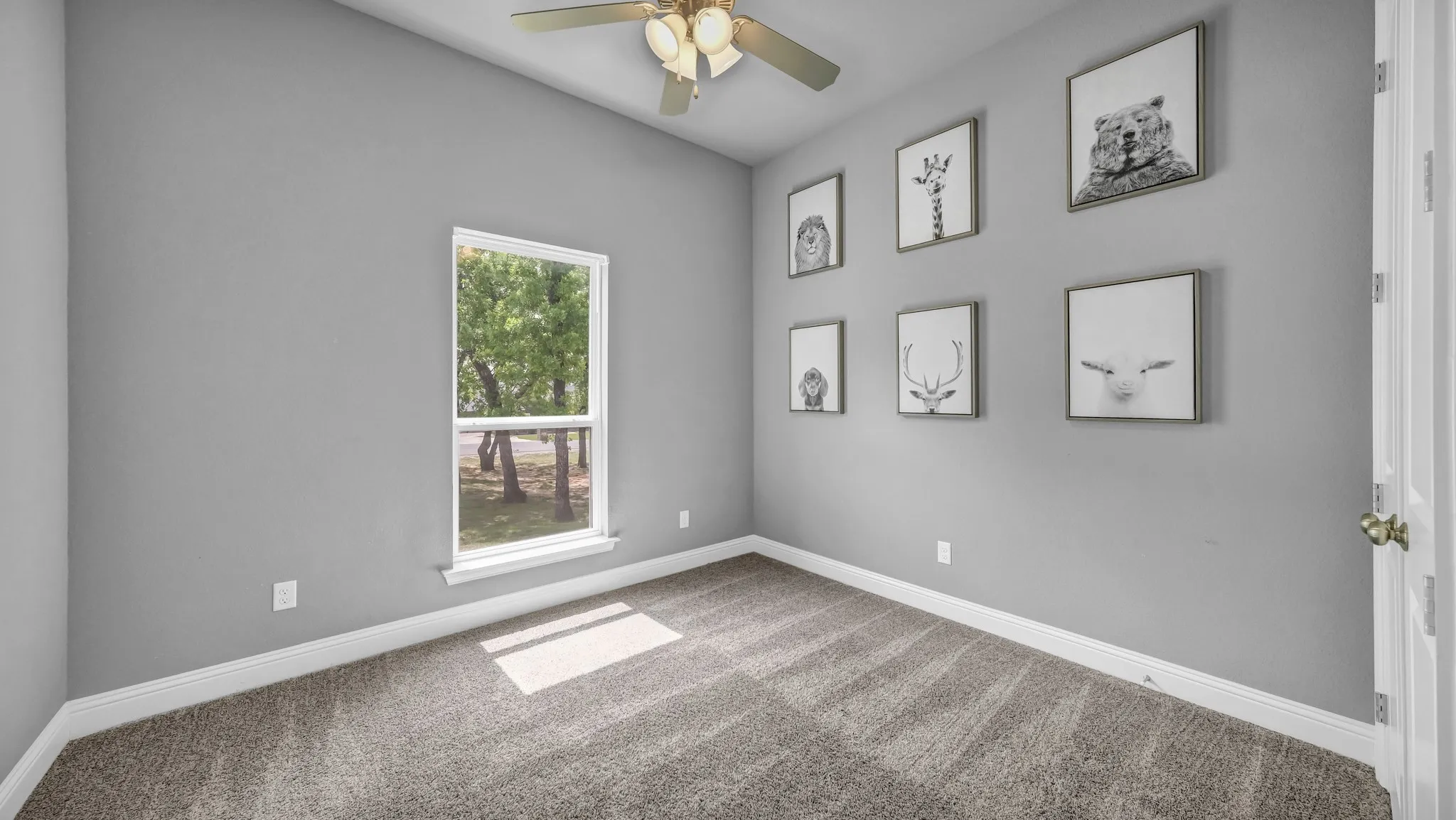 Unfurnished room with ceiling fan and carpet floors