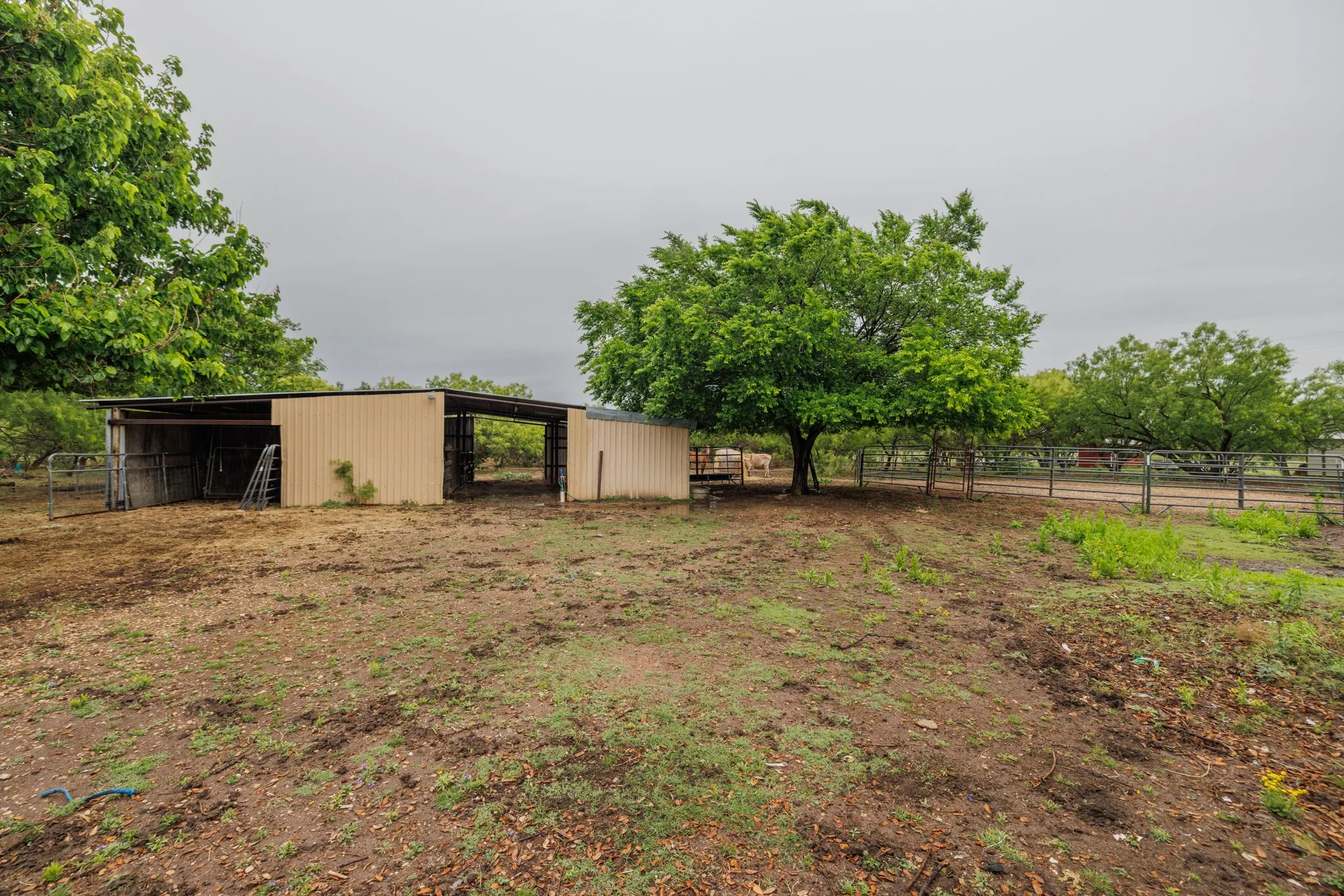 Single Family Residence For Sale in Taylor County , 636 Clark Road, Abilene, Texas 79602, 3 Bedroom, 2 Bathroom, 2 Garage spaces, 2,604 Sqft, built in 1977, Preowned, mls#21235643, Real Estate Agent in Abilene, Homes For Sale in Taylor county, Homes For Sale in Abilene, Realtor in Abilene Texas, Real Estate Brokerage Independent Realty Texas, Luminita Cordes Realtor