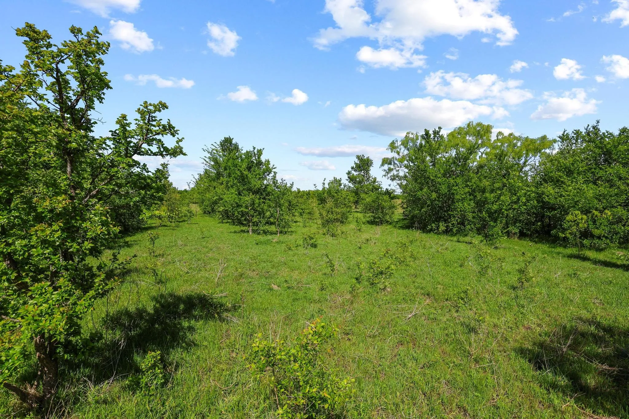 Unimproved Land For Sale in Grayson County , TBD Airport Dr, Denison, Texas 75020, 0, 0, Garage spaces, 0 Sqft, built in 0, Price $499,900, mls#21231434, Real Estate Agent in Denison, Homes For Sale in Grayson county, Homes For Sale in Denison, Realtor in Denison Texas, Real Estate Brokerage Independent Realty Texas, Luminita Cordes Realtor