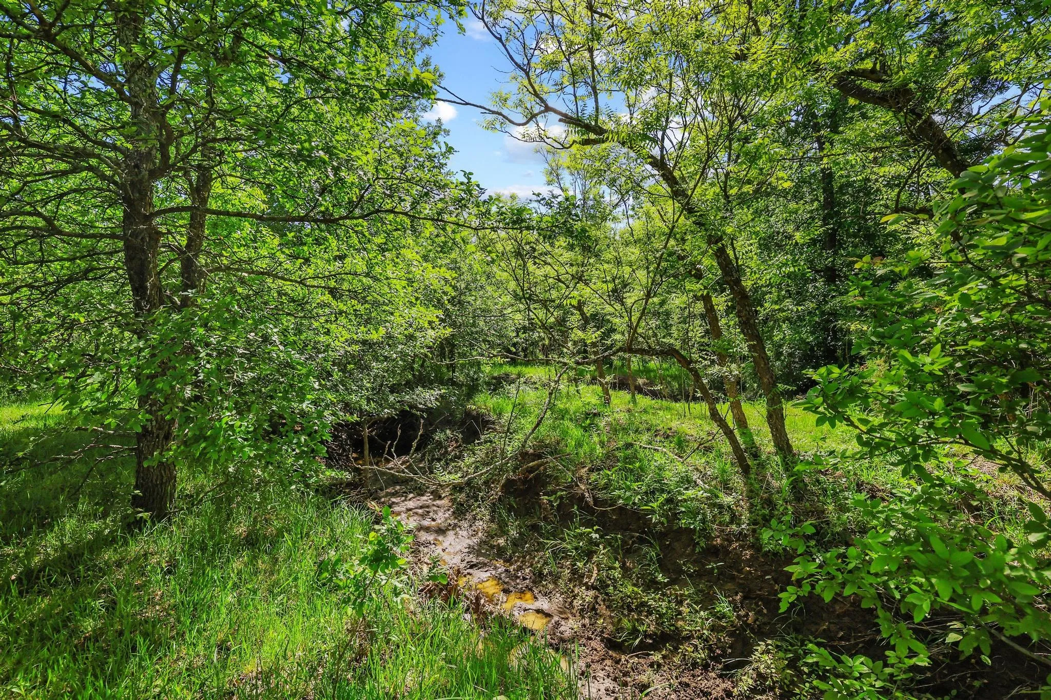 Unimproved Land For Sale in Grayson County , TBD Airport Dr, Denison, Texas 75020, 0, 0, Garage spaces, 0 Sqft, built in 0, Price $499,900, mls#21231434, Real Estate Agent in Denison, Homes For Sale in Grayson county, Homes For Sale in Denison, Realtor in Denison Texas, Real Estate Brokerage Independent Realty Texas, Luminita Cordes Realtor