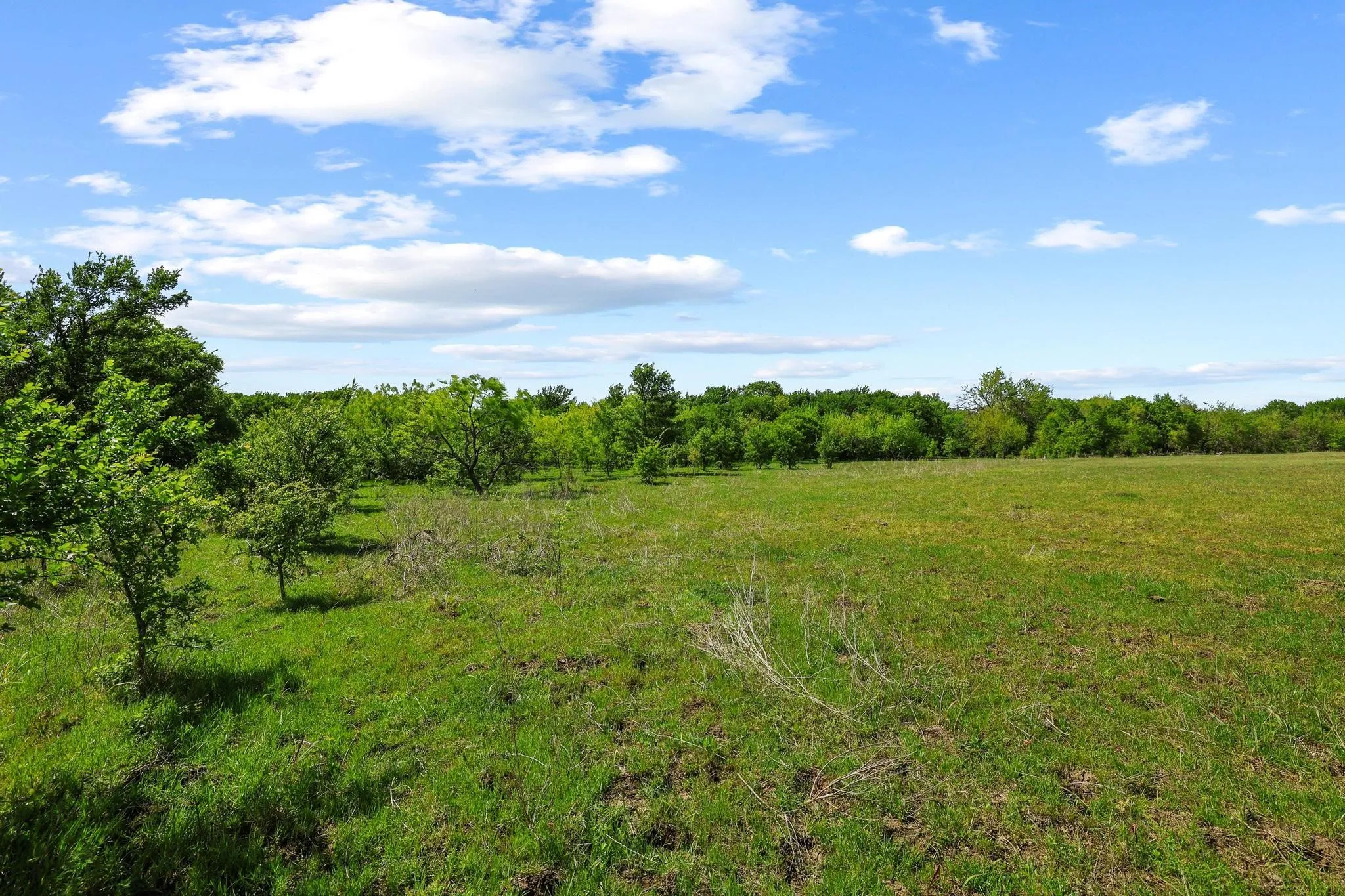 Unimproved Land For Sale in Grayson County , TBD Airport Dr, Denison, Texas 75020, 0, 0, Garage spaces, 0 Sqft, built in 0, Price $499,900, mls#21231434, Real Estate Agent in Denison, Homes For Sale in Grayson county, Homes For Sale in Denison, Realtor in Denison Texas, Real Estate Brokerage Independent Realty Texas, Luminita Cordes Realtor