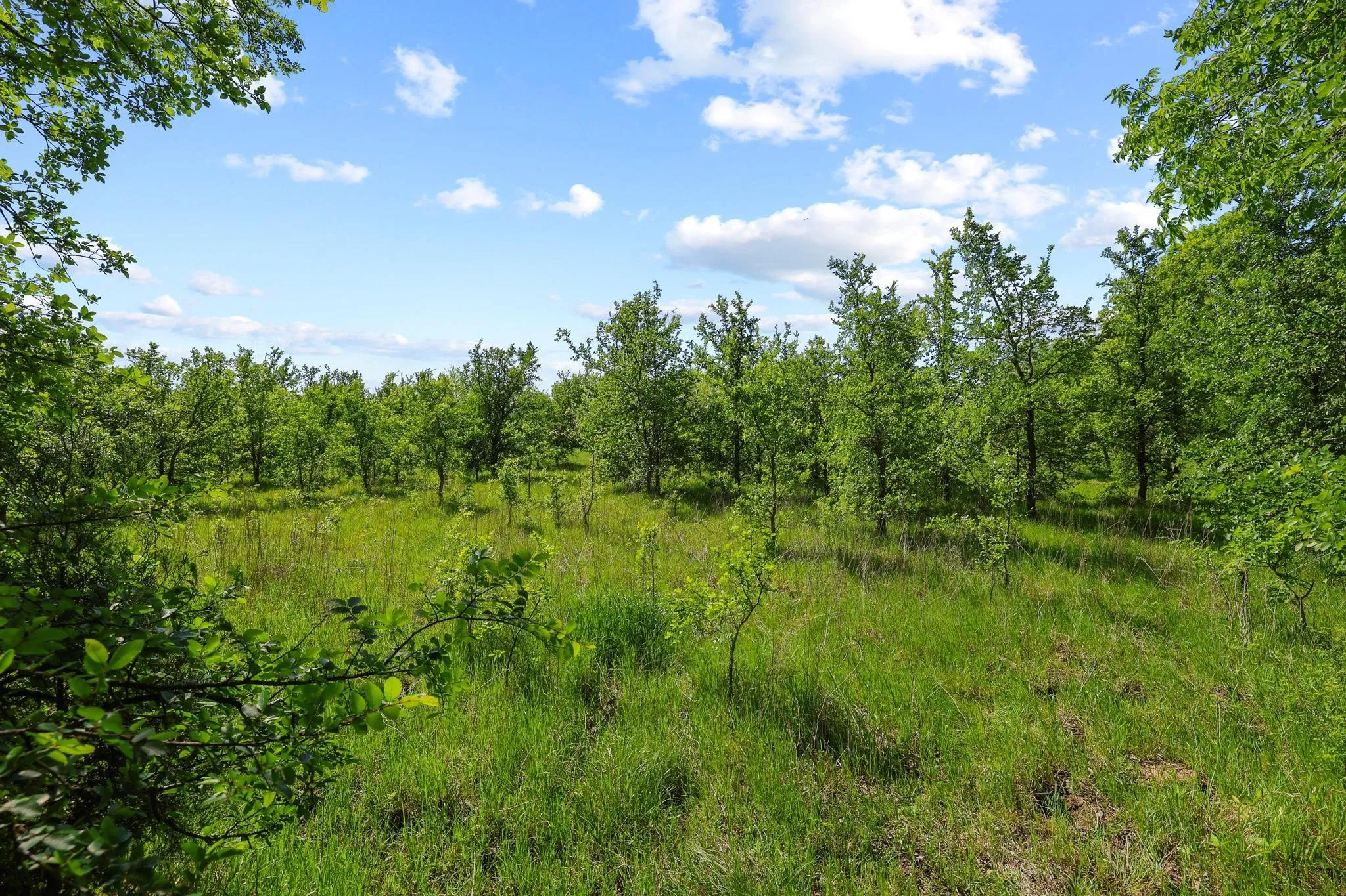 Unimproved Land For Sale in Grayson County , TBD Airport Dr, Denison, Texas 75020, 0, 0, Garage spaces, 0 Sqft, built in 0, Price $499,900, mls#21231434, Real Estate Agent in Denison, Homes For Sale in Grayson county, Homes For Sale in Denison, Realtor in Denison Texas, Real Estate Brokerage Independent Realty Texas, Luminita Cordes Realtor