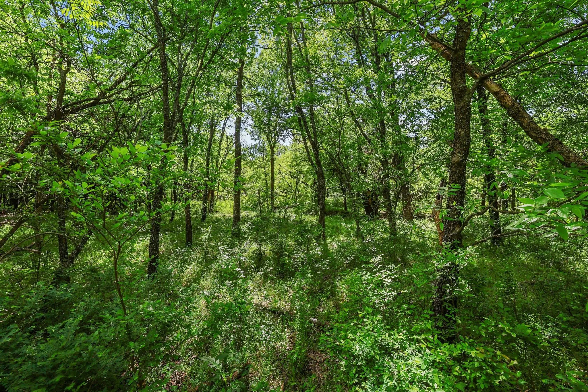 Unimproved Land For Sale in Grayson County , TBD Airport Dr, Denison, Texas 75020, 0, 0, Garage spaces, 0 Sqft, built in 0, Price $499,900, mls#21231434, Real Estate Agent in Denison, Homes For Sale in Grayson county, Homes For Sale in Denison, Realtor in Denison Texas, Real Estate Brokerage Independent Realty Texas, Luminita Cordes Realtor