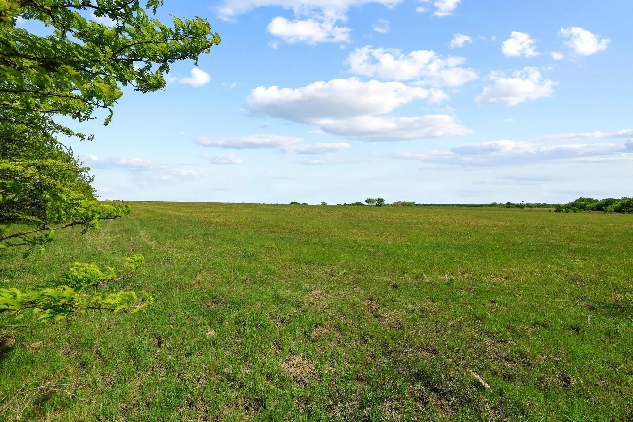 Unimproved Land For Sale in Grayson County , TBD Airport Dr, Denison, Texas 75020, 0, 0, Garage spaces, 0 Sqft, built in 0, Price $499,900, mls#21231434, Real Estate Agent in Denison, Homes For Sale in Grayson county, Homes For Sale in Denison, Realtor in Denison Texas, Real Estate Brokerage Independent Realty Texas, Luminita Cordes Realtor