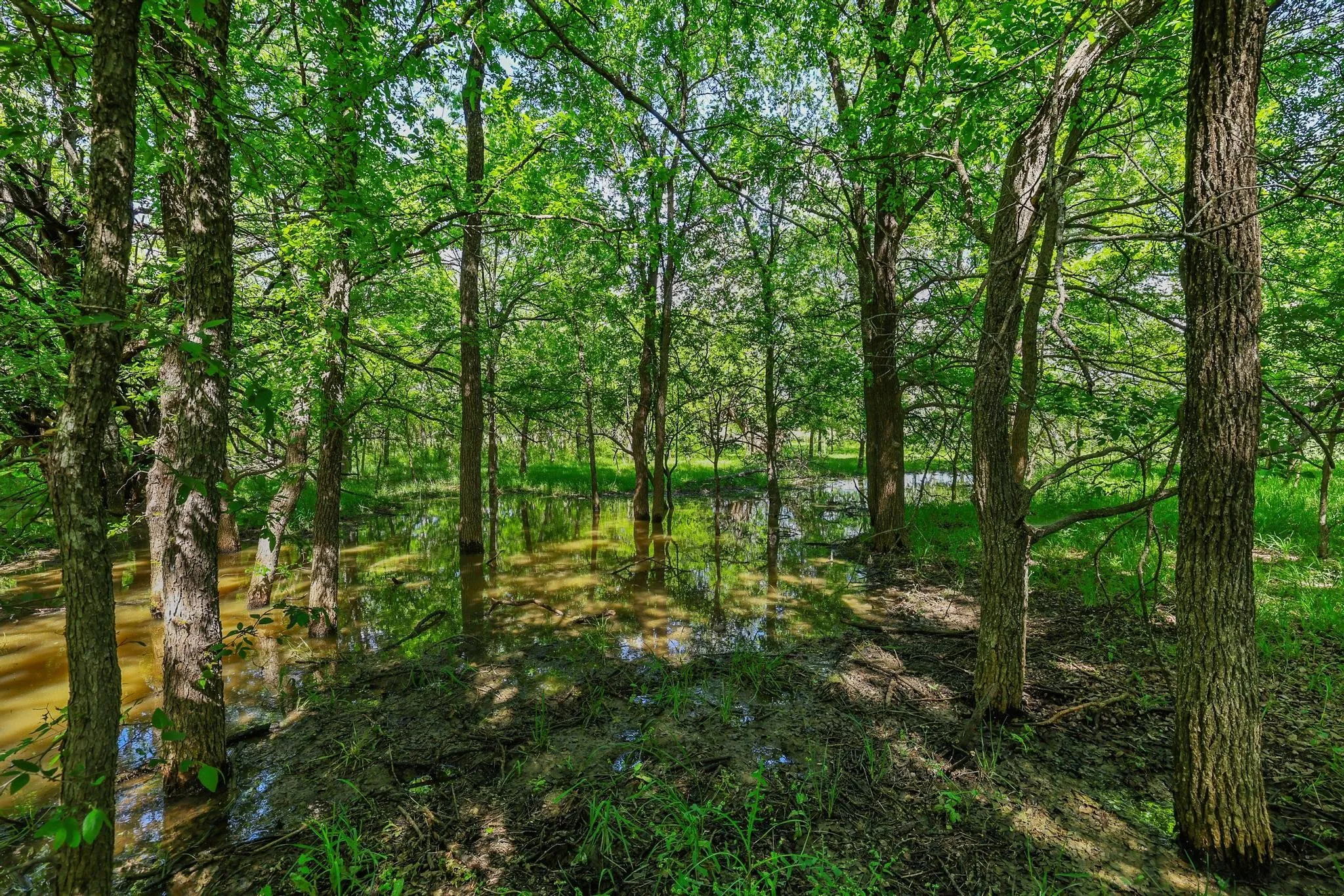 Unimproved Land For Sale in Grayson County , TBD Airport Dr, Denison, Texas 75020, 0, 0, Garage spaces, 0 Sqft, built in 0, Price $499,900, mls#21231434, Real Estate Agent in Denison, Homes For Sale in Grayson county, Homes For Sale in Denison, Realtor in Denison Texas, Real Estate Brokerage Independent Realty Texas, Luminita Cordes Realtor
