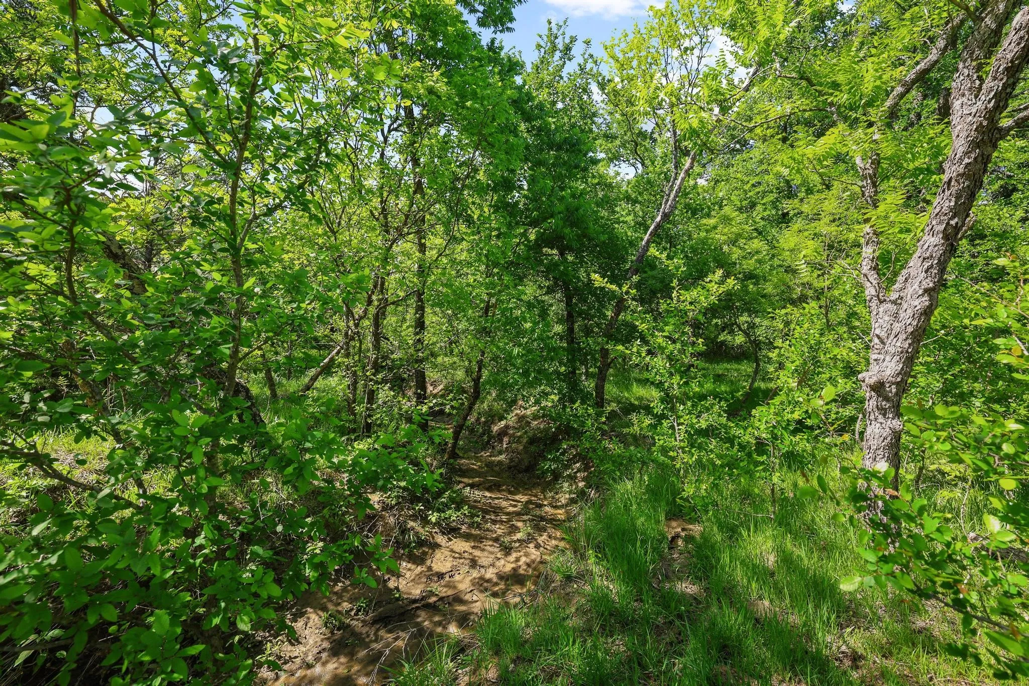 Unimproved Land For Sale in Grayson County , TBD Airport Dr, Denison, Texas 75020, 0, 0, Garage spaces, 0 Sqft, built in 0, Price $499,900, mls#21231434, Real Estate Agent in Denison, Homes For Sale in Grayson county, Homes For Sale in Denison, Realtor in Denison Texas, Real Estate Brokerage Independent Realty Texas, Luminita Cordes Realtor