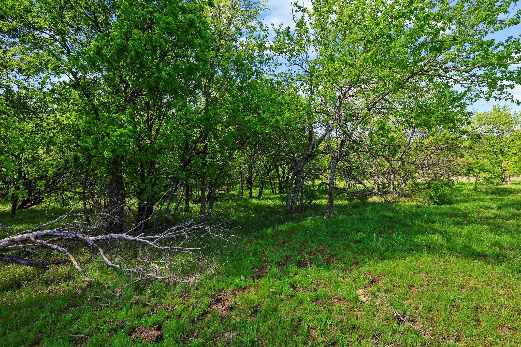 Unimproved Land For Sale in Grayson County , TBD Airport Dr, Denison, Texas 75020, 0, 0, Garage spaces, 0 Sqft, built in 0, Price $499,900, mls#21231434, Real Estate Agent in Denison, Homes For Sale in Grayson county, Homes For Sale in Denison, Realtor in Denison Texas, Real Estate Brokerage Independent Realty Texas, Luminita Cordes Realtor