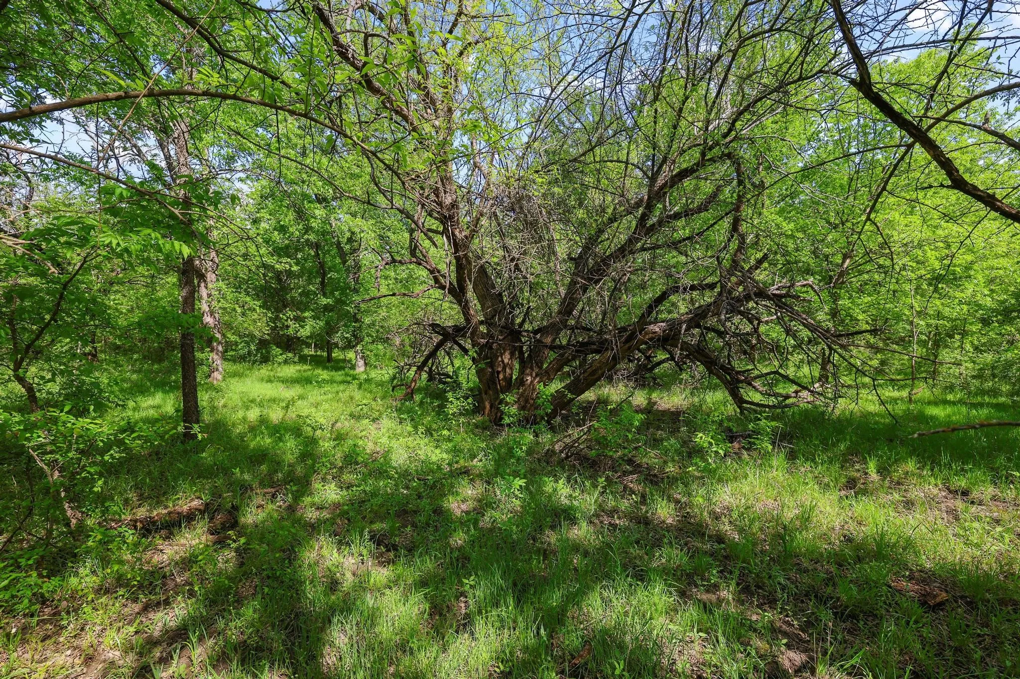Unimproved Land For Sale in Grayson County , TBD Airport Dr, Denison, Texas 75020, 0, 0, Garage spaces, 0 Sqft, built in 0, Price $499,900, mls#21231434, Real Estate Agent in Denison, Homes For Sale in Grayson county, Homes For Sale in Denison, Realtor in Denison Texas, Real Estate Brokerage Independent Realty Texas, Luminita Cordes Realtor