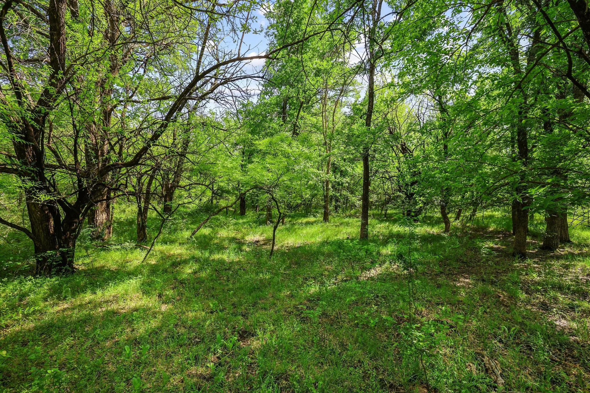 Unimproved Land For Sale in Grayson County , TBD Airport Dr, Denison, Texas 75020, 0, 0, Garage spaces, 0 Sqft, built in 0, Price $499,900, mls#21231434, Real Estate Agent in Denison, Homes For Sale in Grayson county, Homes For Sale in Denison, Realtor in Denison Texas, Real Estate Brokerage Independent Realty Texas, Luminita Cordes Realtor