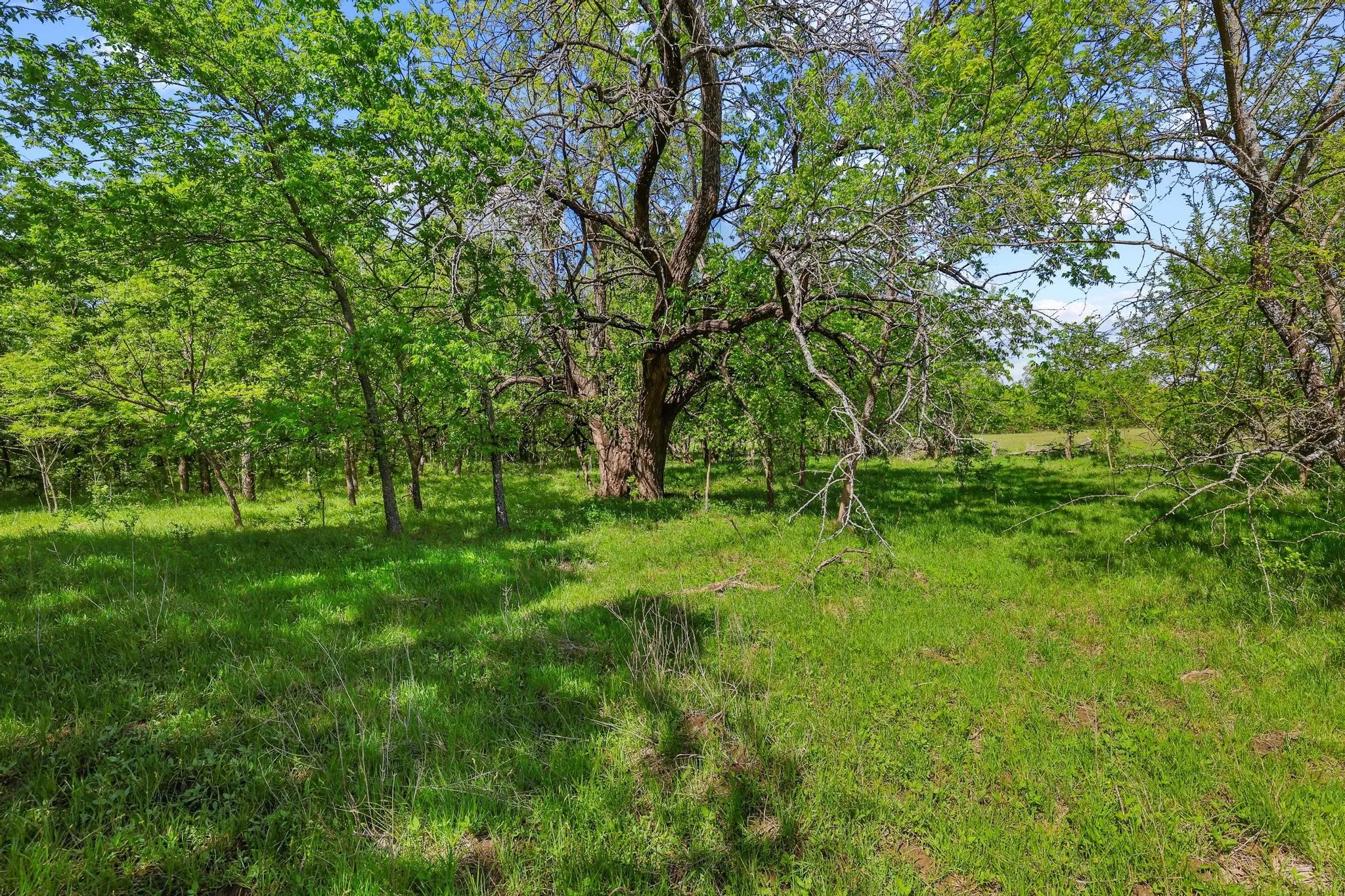 Unimproved Land For Sale in Grayson County , TBD Airport Dr, Denison, Texas 75020, 0, 0, Garage spaces, 0 Sqft, built in 0, Price $499,900, mls#21231434, Real Estate Agent in Denison, Homes For Sale in Grayson county, Homes For Sale in Denison, Realtor in Denison Texas, Real Estate Brokerage Independent Realty Texas, Luminita Cordes Realtor