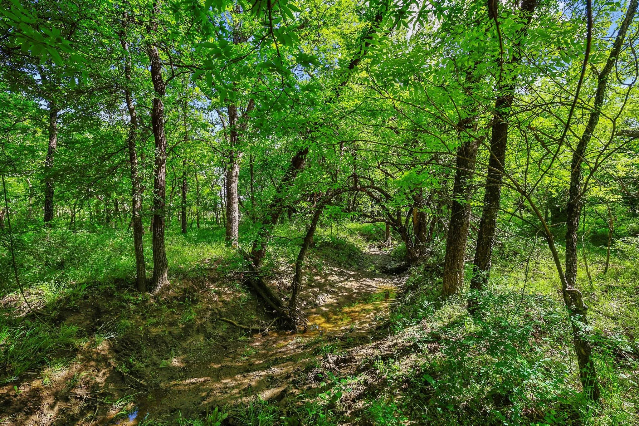 Unimproved Land For Sale in Grayson County , TBD Airport Dr, Denison, Texas 75020, 0, 0, Garage spaces, 0 Sqft, built in 0, Price $499,900, mls#21231434, Real Estate Agent in Denison, Homes For Sale in Grayson county, Homes For Sale in Denison, Realtor in Denison Texas, Real Estate Brokerage Independent Realty Texas, Luminita Cordes Realtor