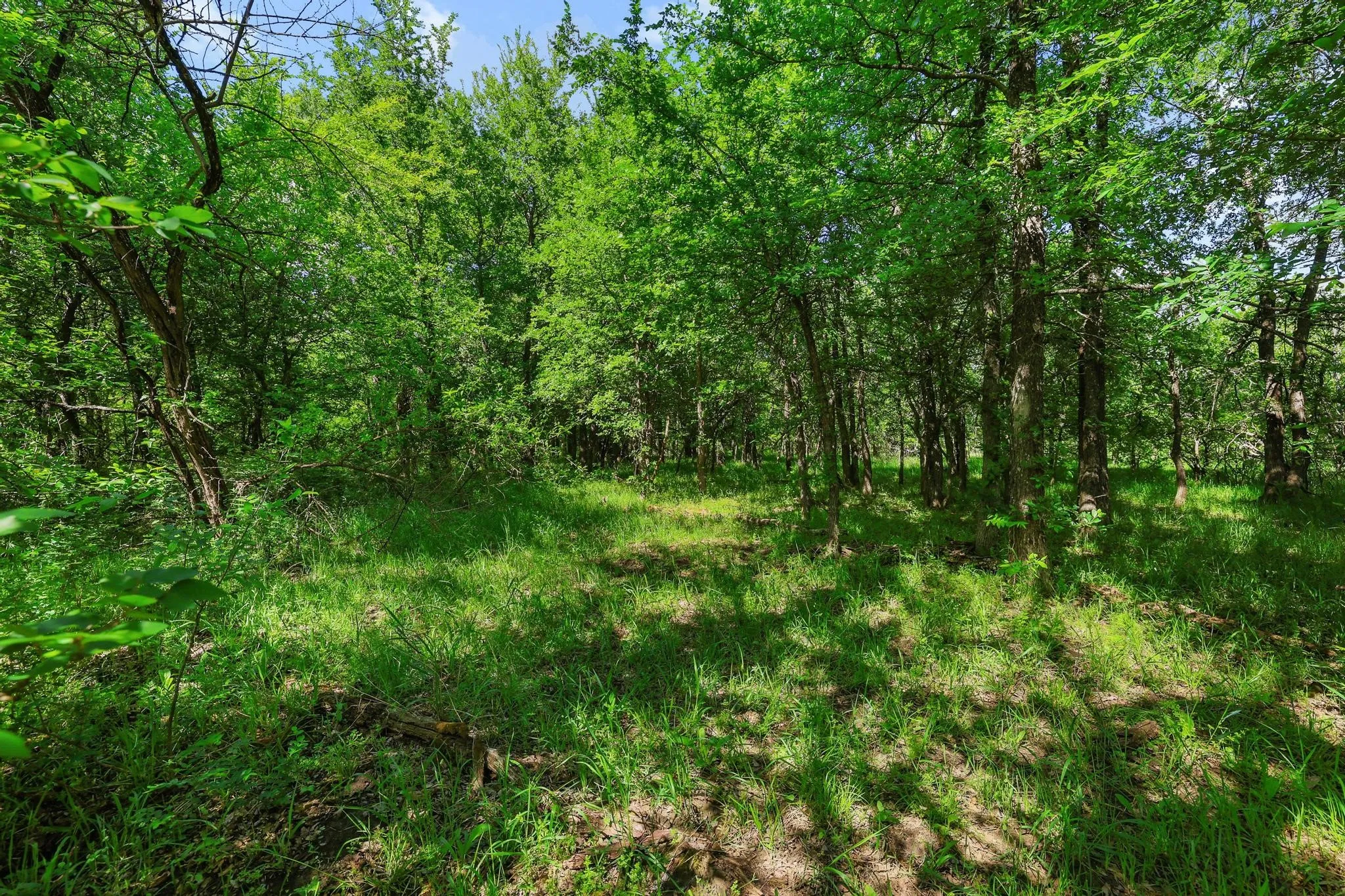 Unimproved Land For Sale in Grayson County , TBD Airport Dr, Denison, Texas 75020, 0, 0, Garage spaces, 0 Sqft, built in 0, Price $499,900, mls#21231434, Real Estate Agent in Denison, Homes For Sale in Grayson county, Homes For Sale in Denison, Realtor in Denison Texas, Real Estate Brokerage Independent Realty Texas, Luminita Cordes Realtor