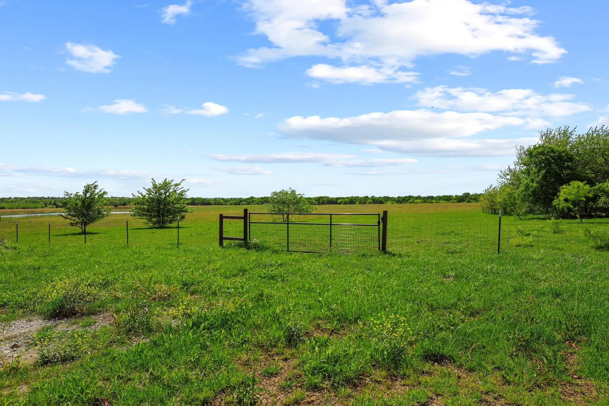 Unimproved Land For Sale in Grayson County , TBD Airport Dr, Denison, Texas 75020, 0, 0, Garage spaces, 0 Sqft, built in 0, Price $499,900, mls#21231434, Real Estate Agent in Denison, Homes For Sale in Grayson county, Homes For Sale in Denison, Realtor in Denison Texas, Real Estate Brokerage Independent Realty Texas, Luminita Cordes Realtor