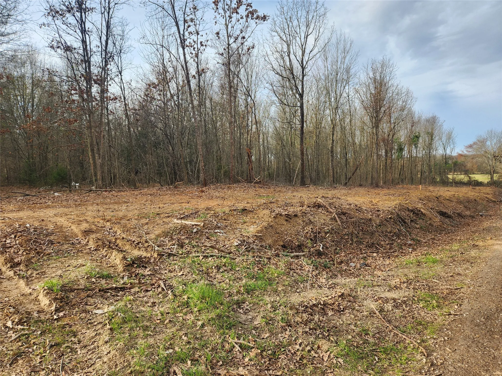 Improved Land For Sale in Hopkins County , Lot 4 CR 2310, Sulphur Springs, Texas 75482, 0, 0, Garage spaces, 0 Sqft, built in 0, mls#21235897, Real Estate Agent in Sulphur Springs, Homes For Sale in Hopkins county, Homes For Sale in Sulphur Springs, Realtor in Sulphur Springs Texas, Real Estate Brokerage Independent Realty Texas, Luminita Cordes Realtor