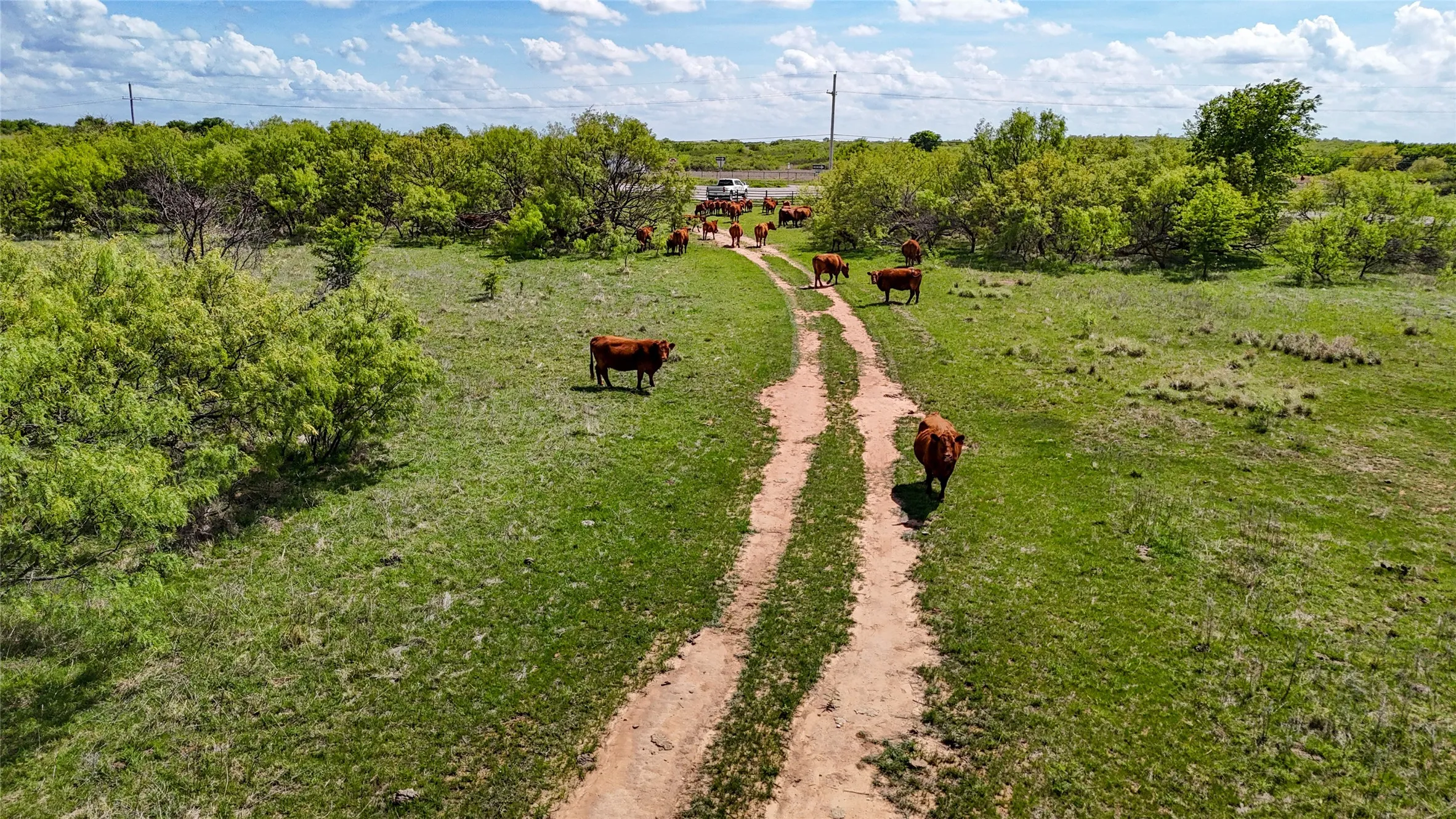 Ranch For Sale in Montague County , TBD US Highway 82 W, Nocona, Texas 76255, 0, 0, Garage spaces, 0 Sqft, built in 0, mls#21235816, Real Estate Agent in Nocona, Homes For Sale in Montague county, Homes For Sale in Nocona, Realtor in Nocona Texas, Real Estate Brokerage Independent Realty Texas, Luminita Cordes Realtor