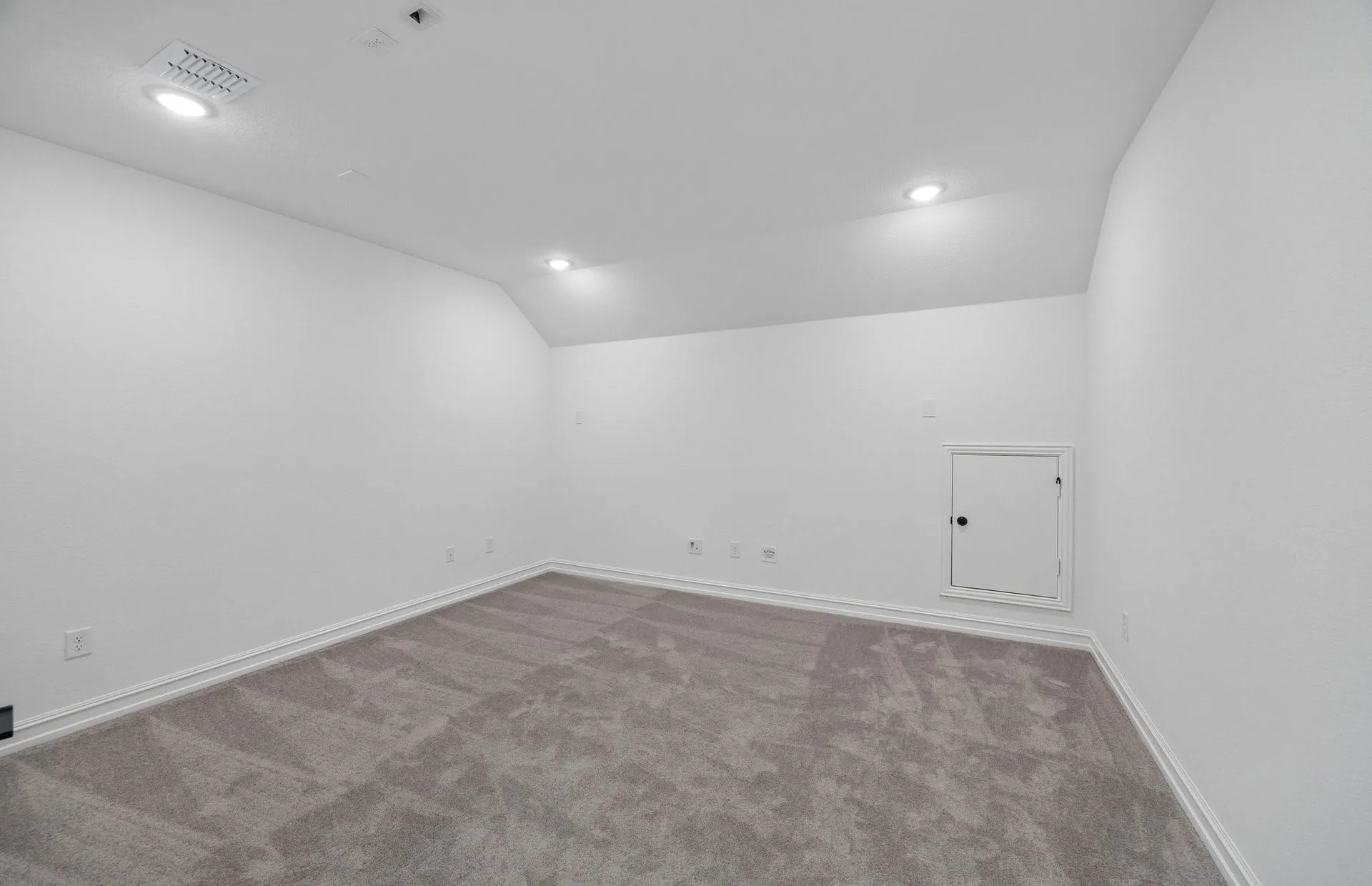 Spacious media room