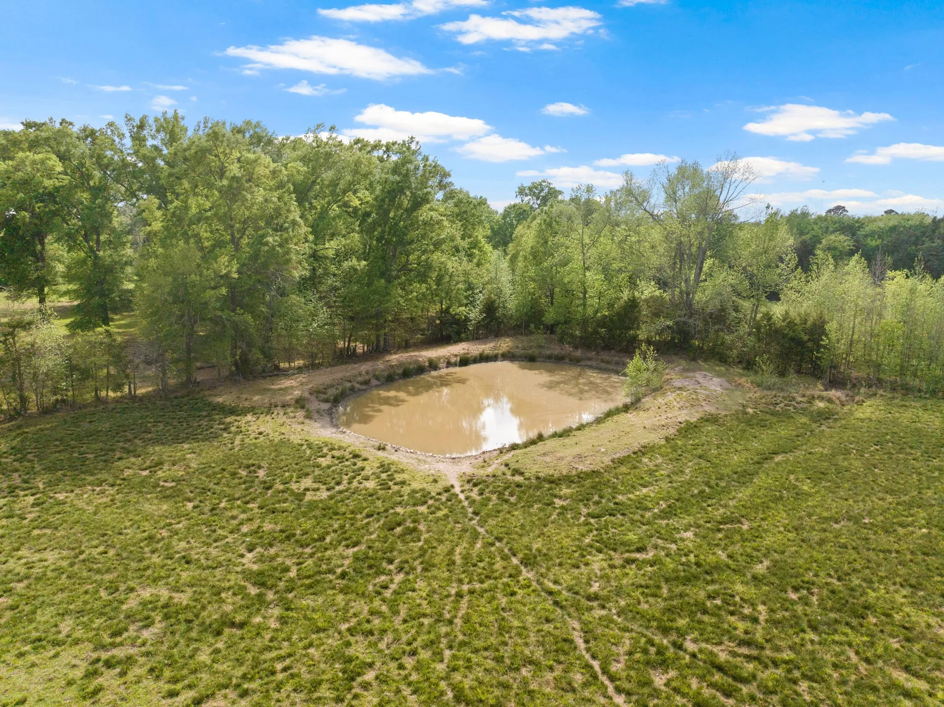 Single Family Residence For Sale in Wood County , 1018 County Road 4287, Winnsboro, Texas 75494, 3 Bedroom, 2 Bathroom, Garage spaces, 1,155 Sqft, built in 1865, Preowned, Price $1,200,000, mls#21235779, Real Estate Agent in Winnsboro, Homes For Sale in Wood county, Homes For Sale in Winnsboro, Realtor in Winnsboro Texas, Real Estate Brokerage Independent Realty Texas, Luminita Cordes Realtor