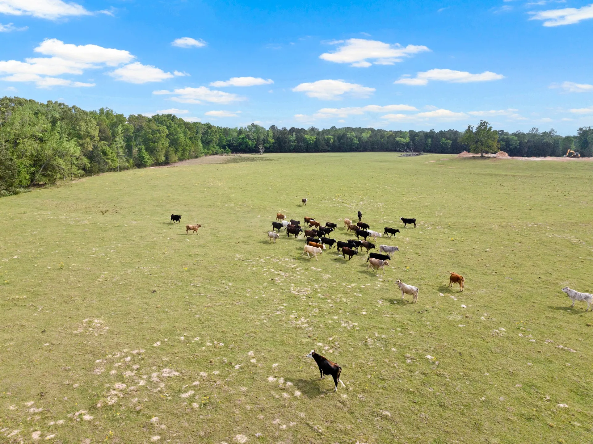 Single Family Residence For Sale in Wood County , 1018 County Road 4287, Winnsboro, Texas 75494, 3 Bedroom, 2 Bathroom, Garage spaces, 1,155 Sqft, built in 1865, Preowned, Price $1,200,000, mls#21235779, Real Estate Agent in Winnsboro, Homes For Sale in Wood county, Homes For Sale in Winnsboro, Realtor in Winnsboro Texas, Real Estate Brokerage Independent Realty Texas, Luminita Cordes Realtor