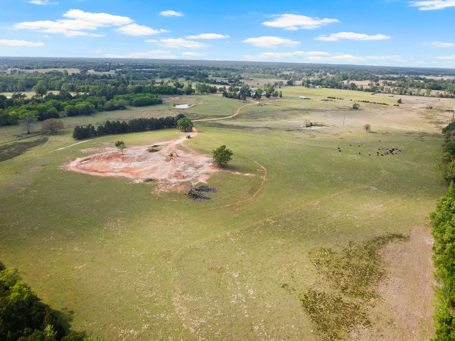 Single Family Residence For Sale in Wood County , 1018 County Road 4287, Winnsboro, Texas 75494, 3 Bedroom, 2 Bathroom, Garage spaces, 1,155 Sqft, built in 1865, Preowned, Price $1,200,000, mls#21235779, Real Estate Agent in Winnsboro, Homes For Sale in Wood county, Homes For Sale in Winnsboro, Realtor in Winnsboro Texas, Real Estate Brokerage Independent Realty Texas, Luminita Cordes Realtor
