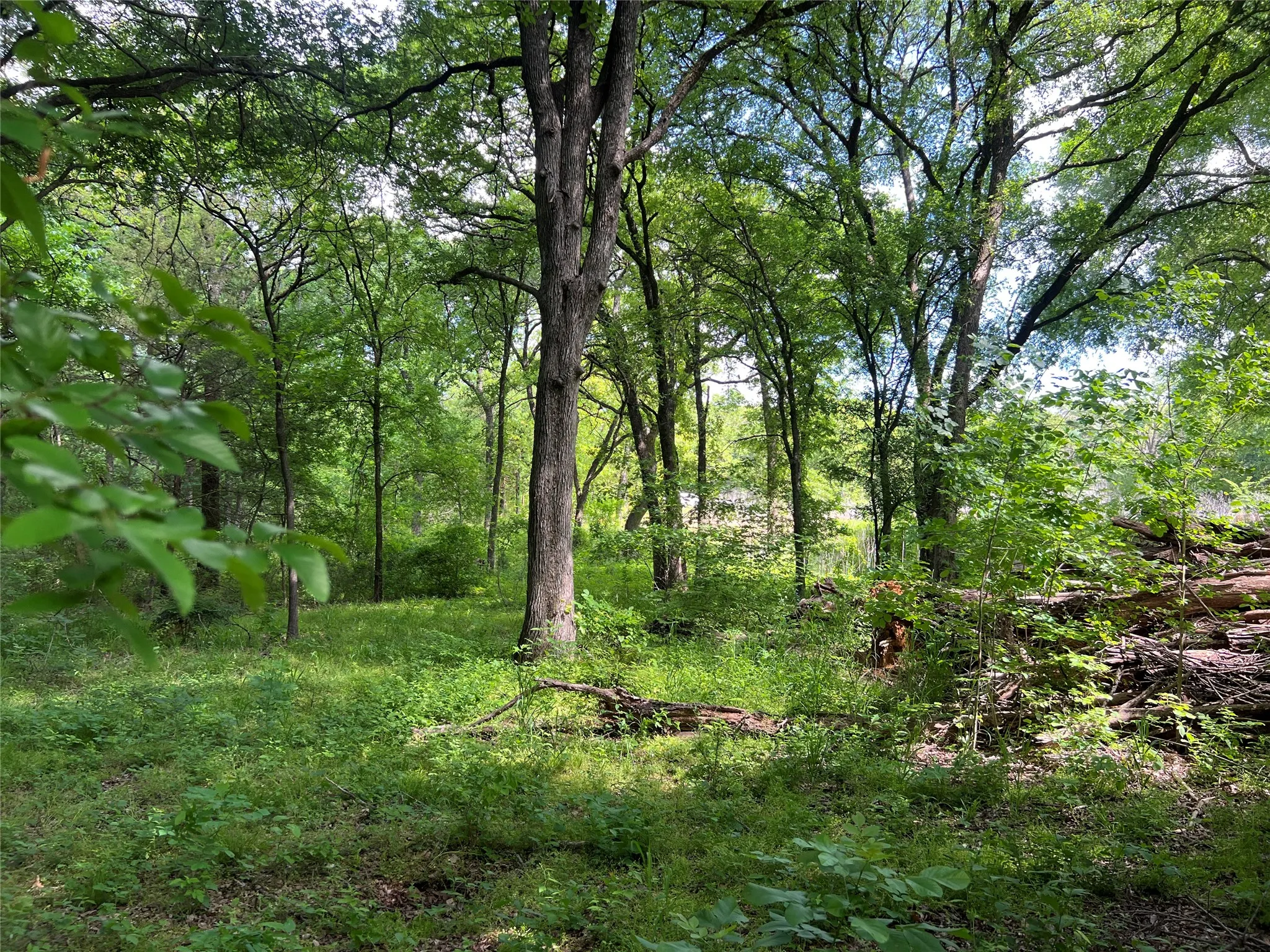Unimproved Land For Sale in Johnson County , 3024 Ida Lane, Alvarado, Texas 76009, 0, 0, Garage spaces, 0 Sqft, built in 0, mls#21233989, Real Estate Agent in Alvarado, Homes For Sale in Johnson county, Homes For Sale in Alvarado, Realtor in Alvarado Texas, Real Estate Brokerage Independent Realty Texas, Luminita Cordes Realtor