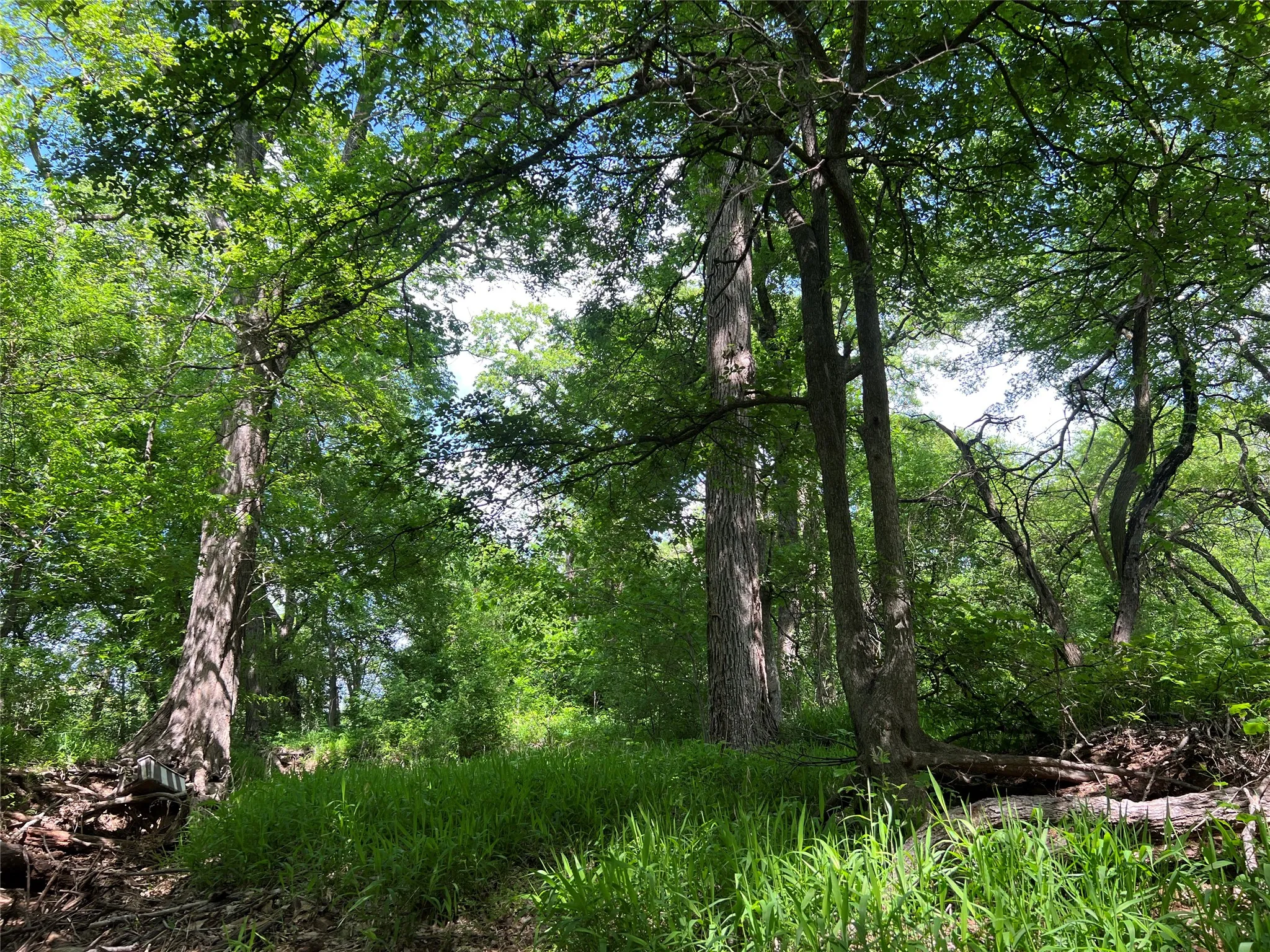 Unimproved Land For Sale in Johnson County , 3024 Ida Lane, Alvarado, Texas 76009, 0, 0, Garage spaces, 0 Sqft, built in 0, mls#21233989, Real Estate Agent in Alvarado, Homes For Sale in Johnson county, Homes For Sale in Alvarado, Realtor in Alvarado Texas, Real Estate Brokerage Independent Realty Texas, Luminita Cordes Realtor