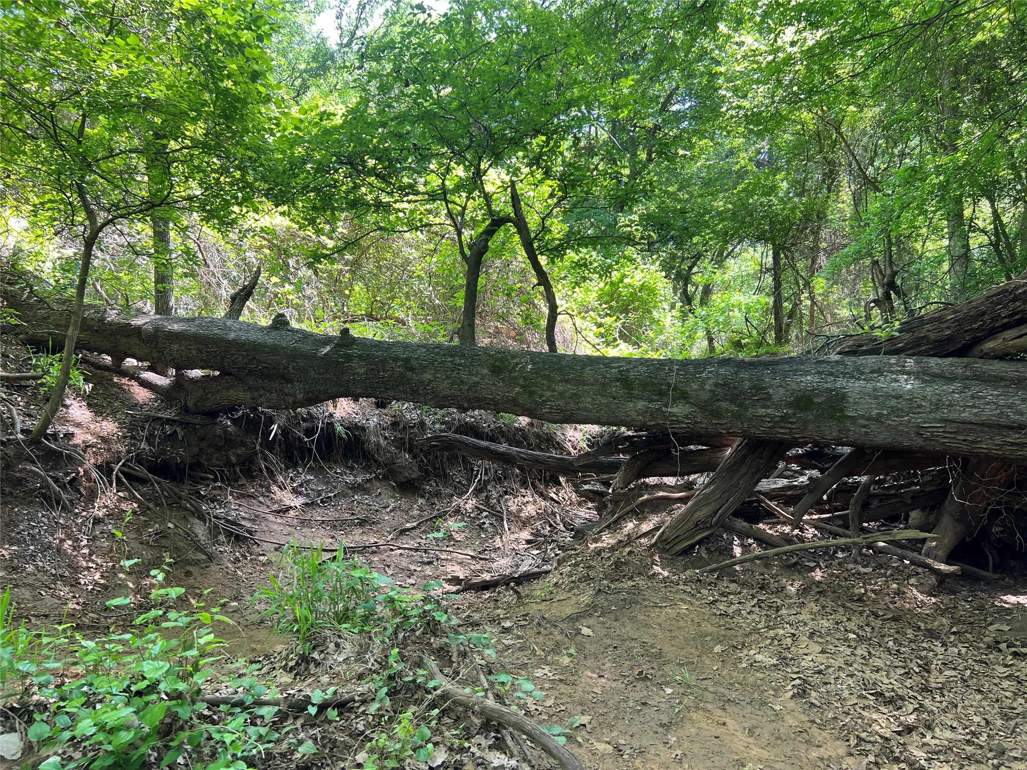 Unimproved Land For Sale in Johnson County , 3024 Ida Lane, Alvarado, Texas 76009, 0, 0, Garage spaces, 0 Sqft, built in 0, mls#21233989, Real Estate Agent in Alvarado, Homes For Sale in Johnson county, Homes For Sale in Alvarado, Realtor in Alvarado Texas, Real Estate Brokerage Independent Realty Texas, Luminita Cordes Realtor