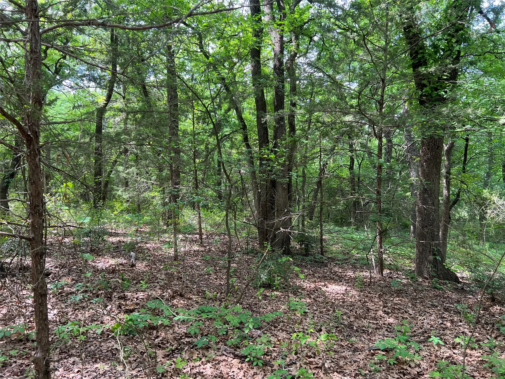 Unimproved Land For Sale in Johnson County , 3024 Ida Lane, Alvarado, Texas 76009, 0, 0, Garage spaces, 0 Sqft, built in 0, mls#21233989, Real Estate Agent in Alvarado, Homes For Sale in Johnson county, Homes For Sale in Alvarado, Realtor in Alvarado Texas, Real Estate Brokerage Independent Realty Texas, Luminita Cordes Realtor
