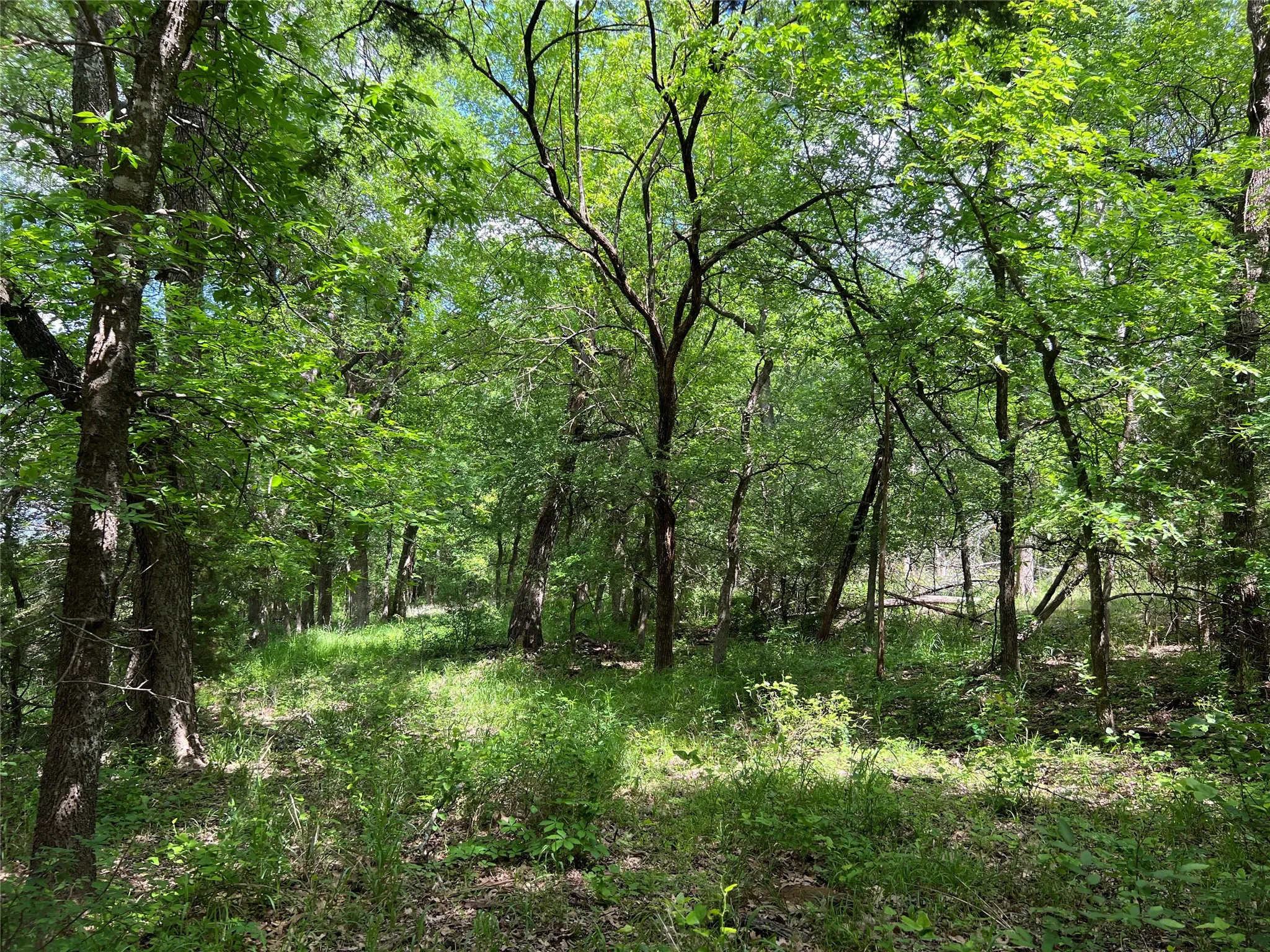 Unimproved Land For Sale in Johnson County , 3024 Ida Lane, Alvarado, Texas 76009, 0, 0, Garage spaces, 0 Sqft, built in 0, mls#21233989, Real Estate Agent in Alvarado, Homes For Sale in Johnson county, Homes For Sale in Alvarado, Realtor in Alvarado Texas, Real Estate Brokerage Independent Realty Texas, Luminita Cordes Realtor